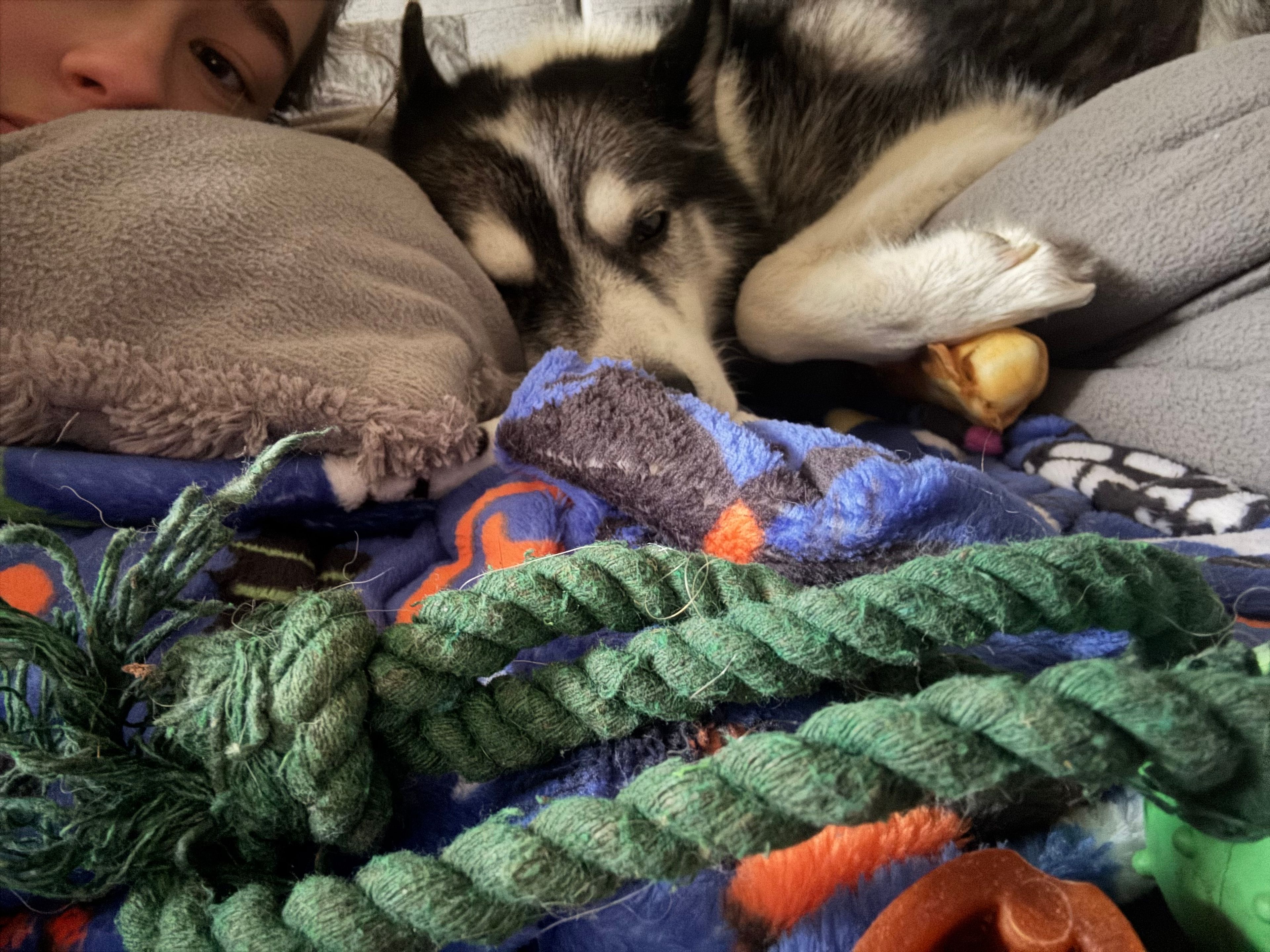 image-5