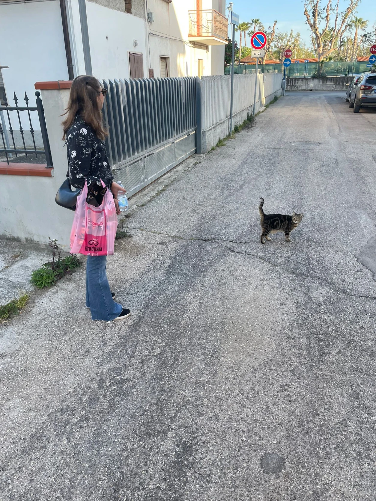 image-11
