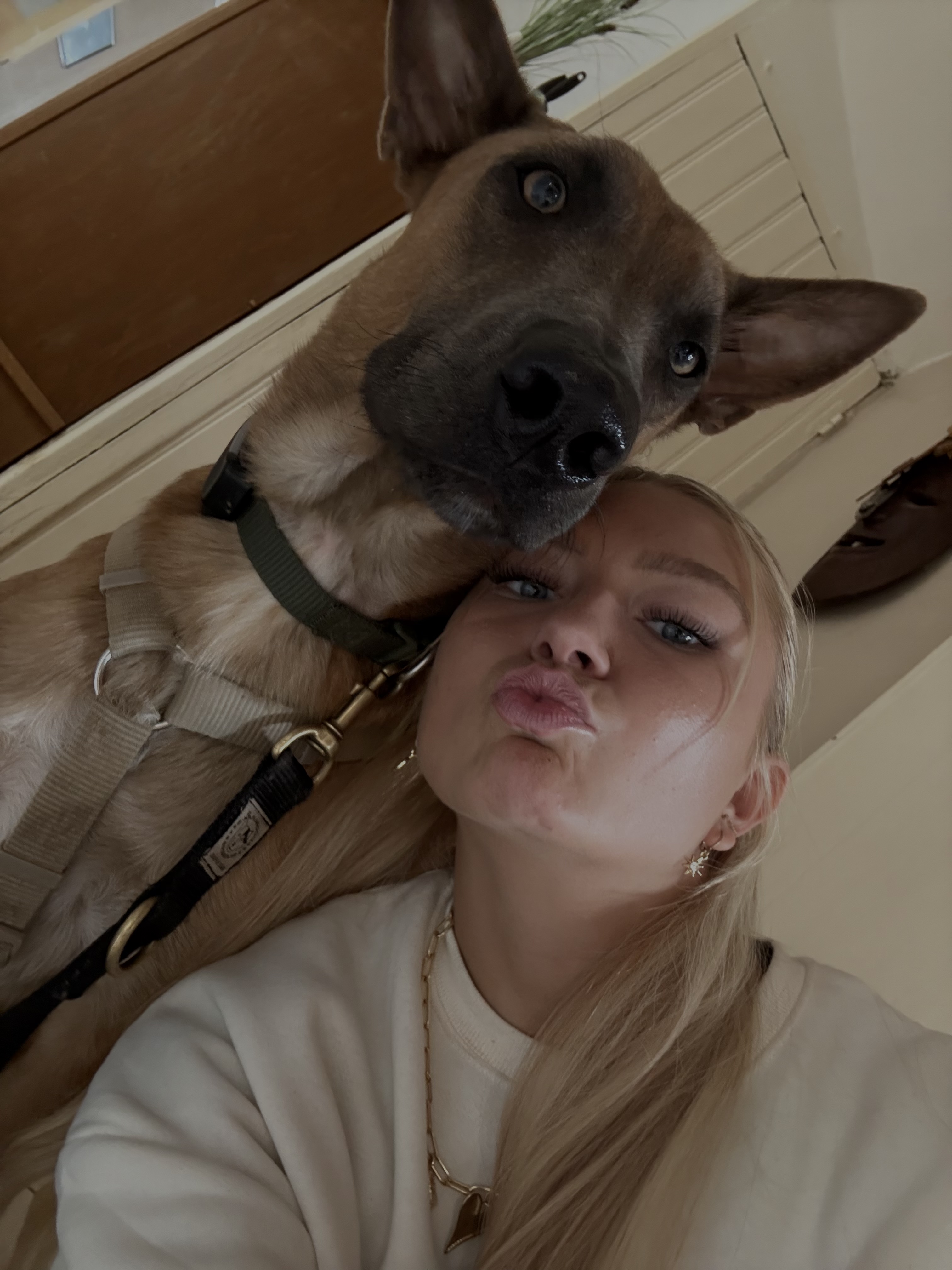 image-4