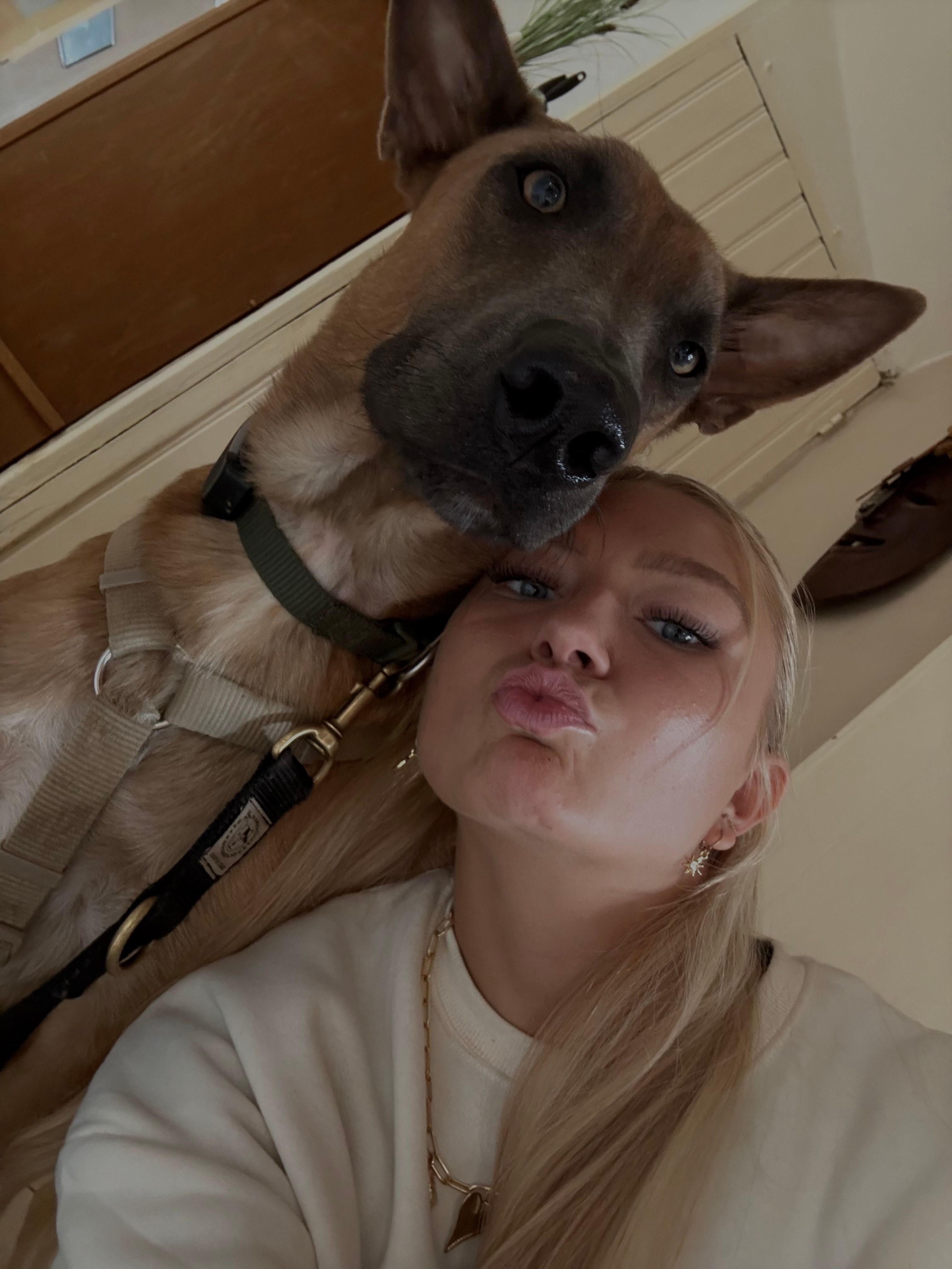image-4
