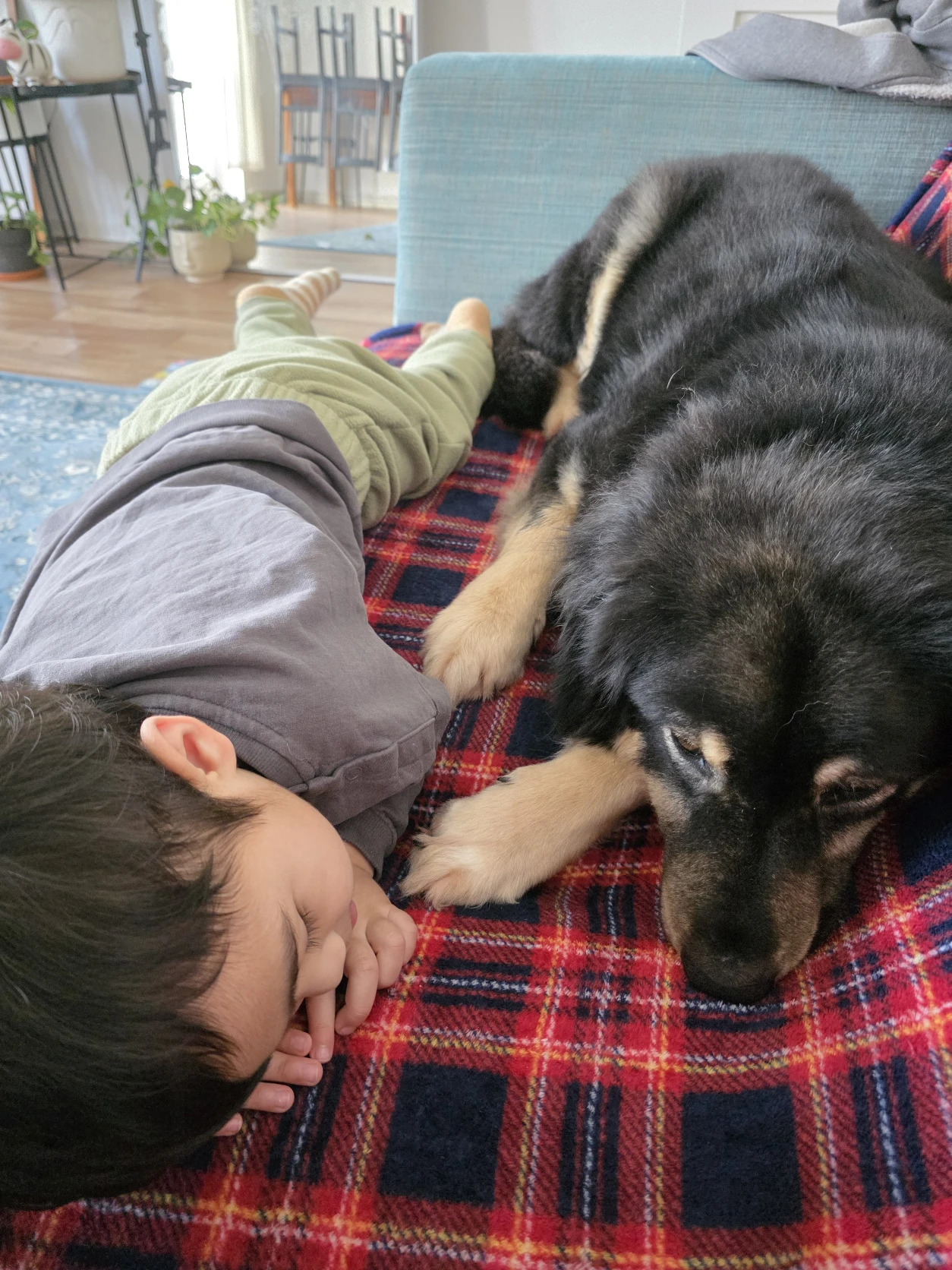 image-3