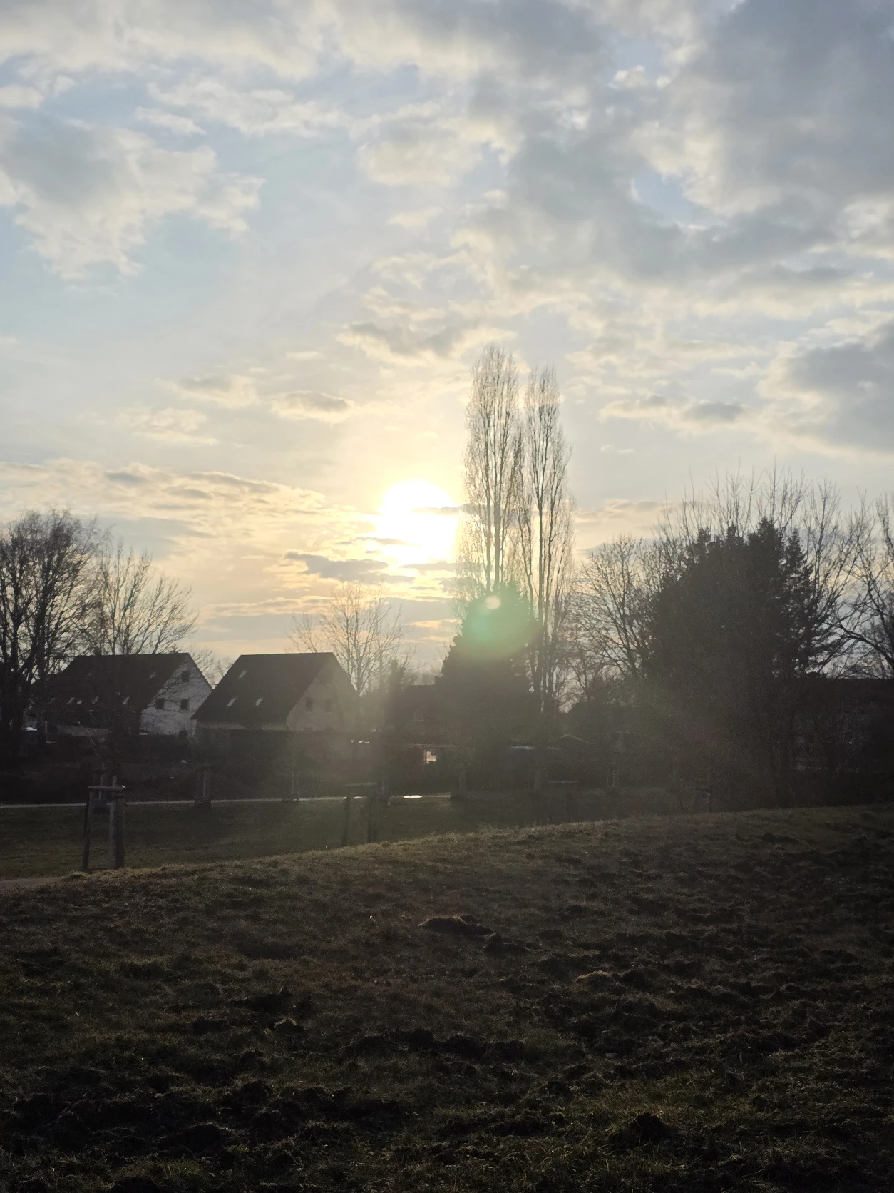 image-17
