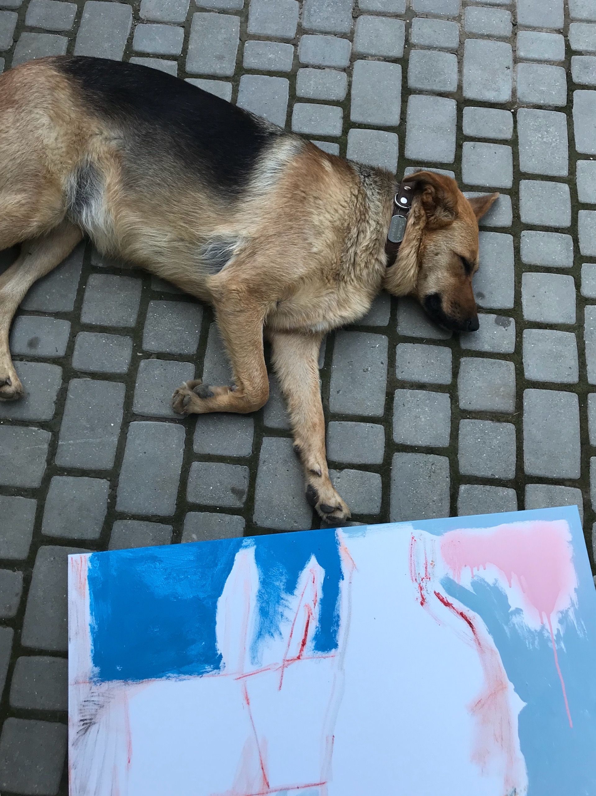 image-5