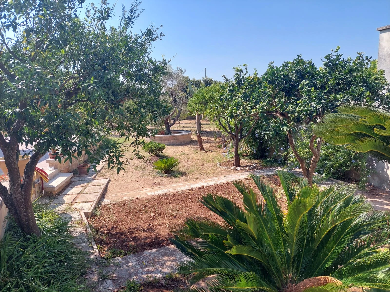 image-10