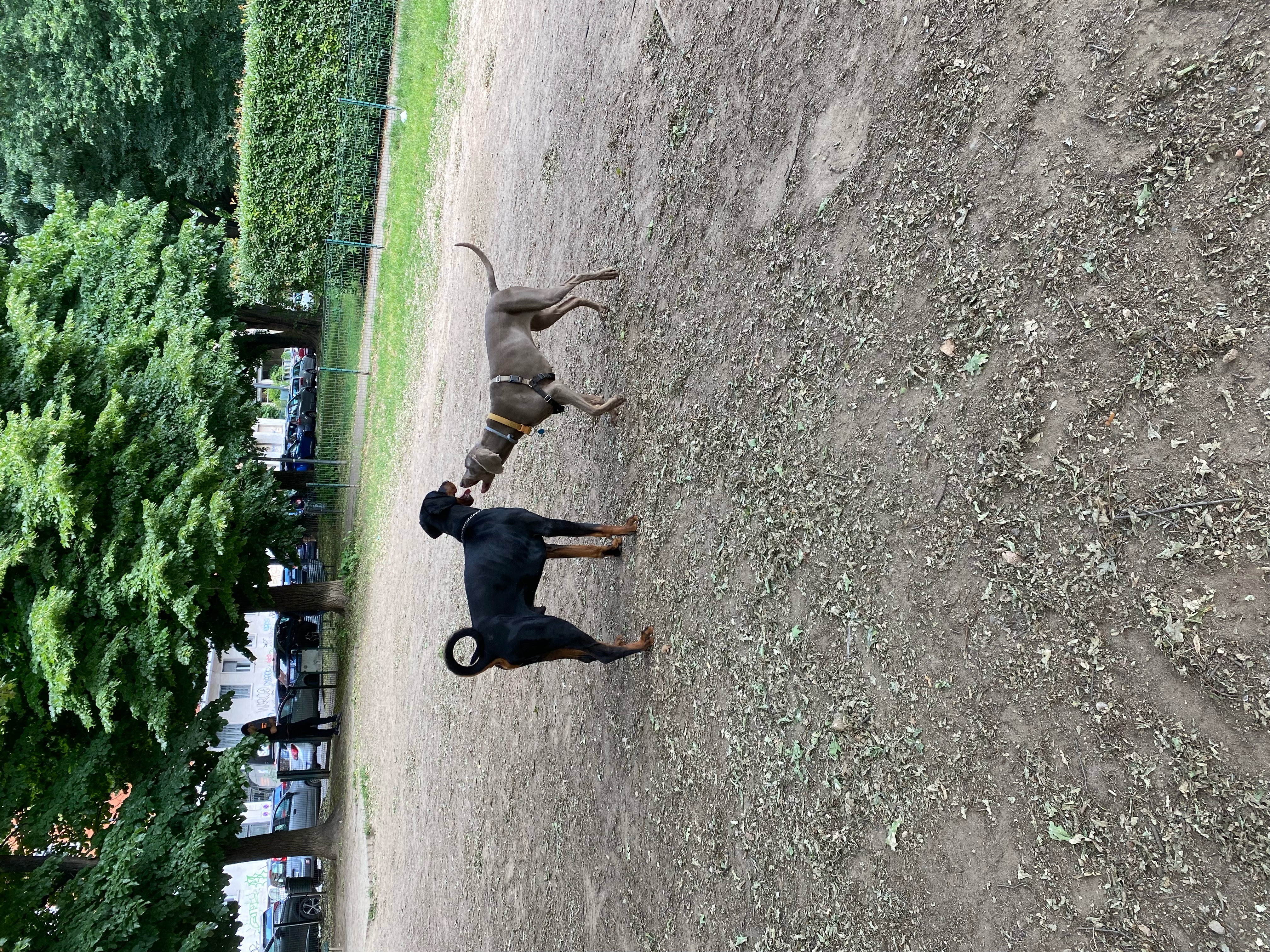 image-9