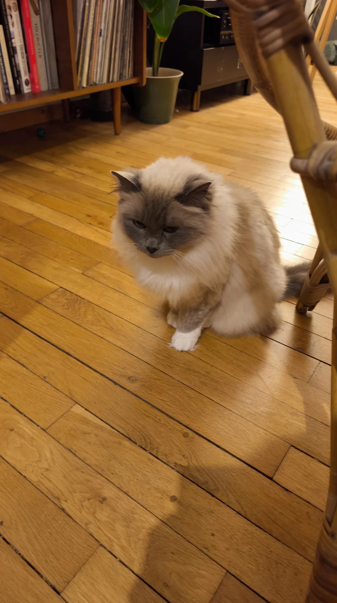 image-6