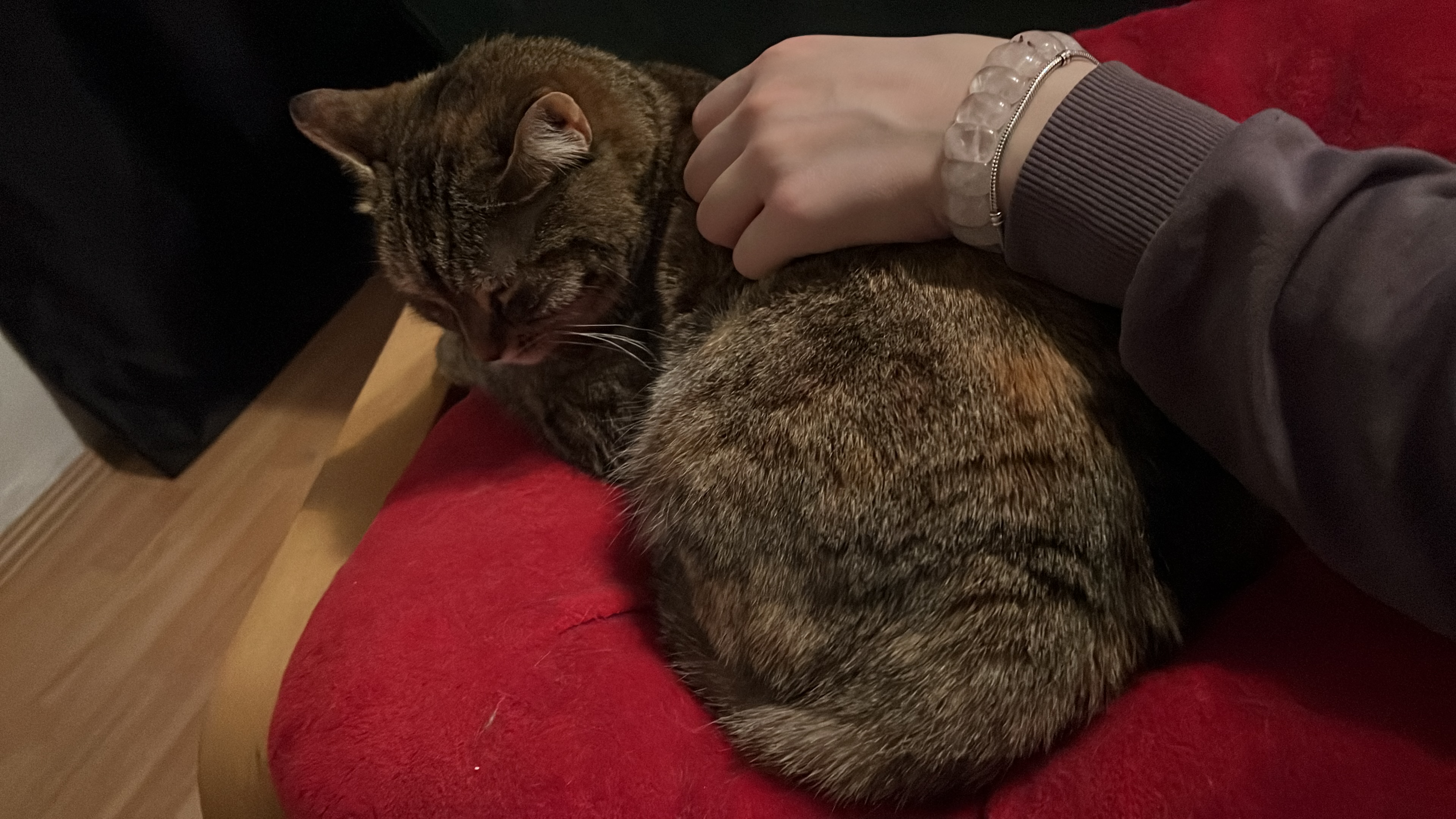image-6