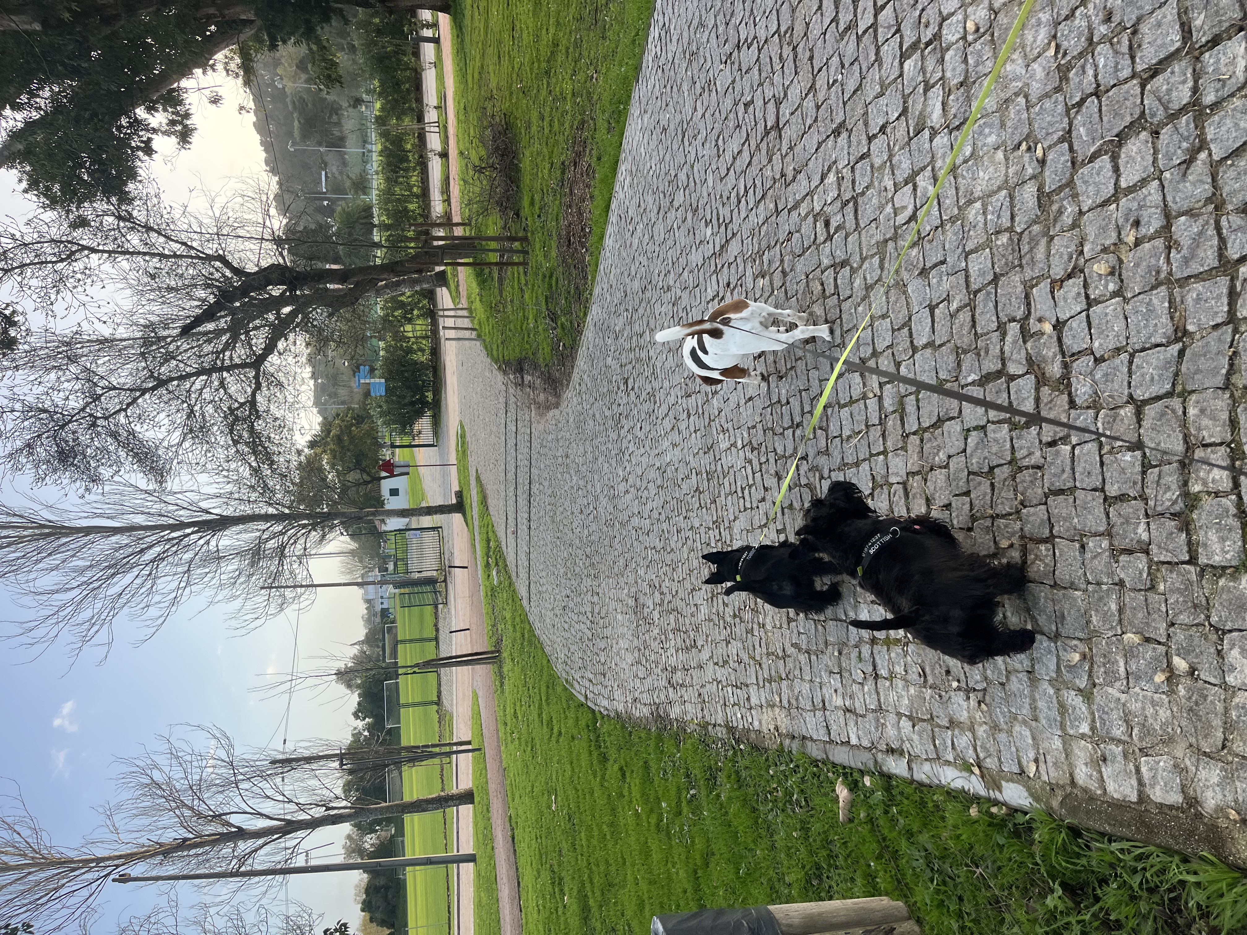 image-7