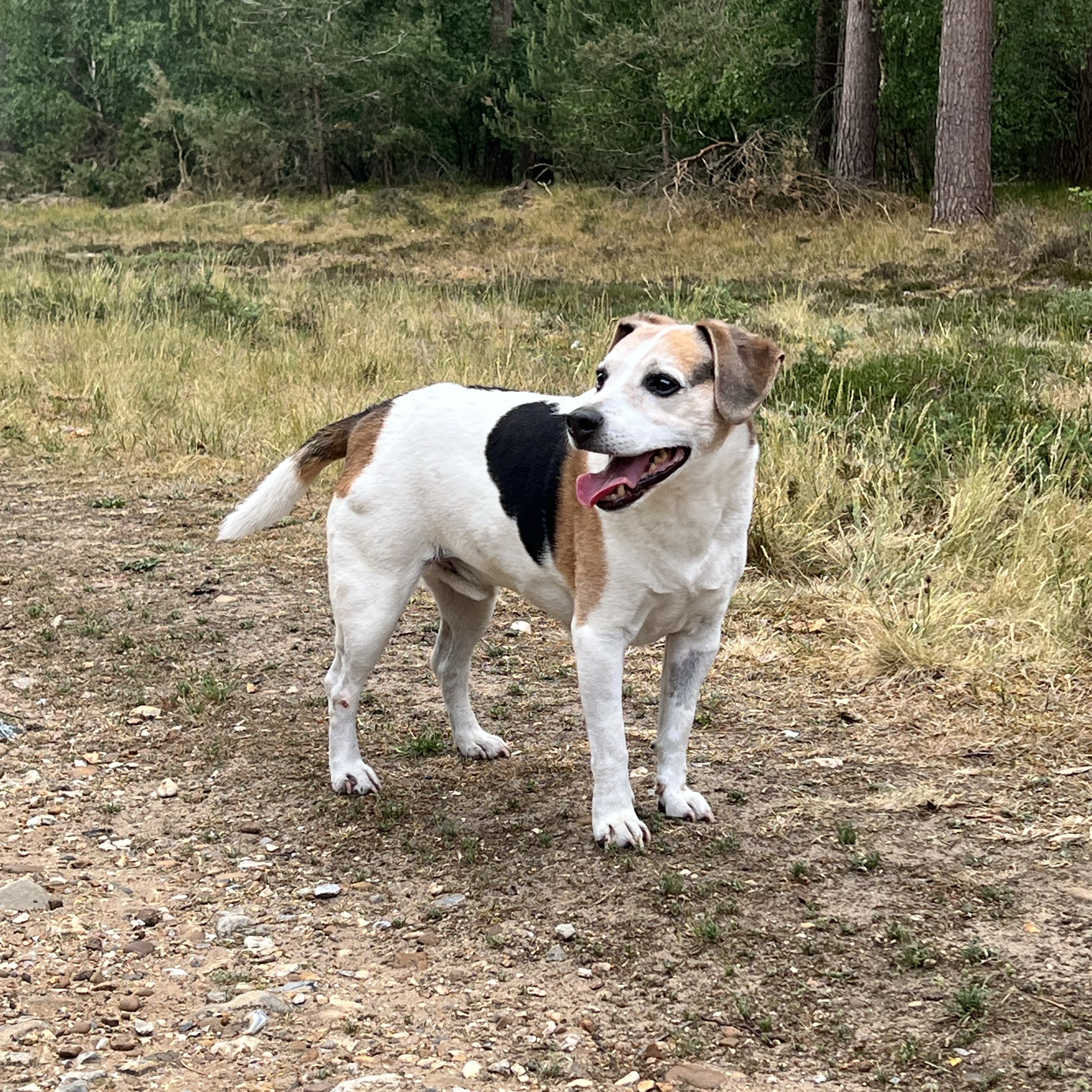Milo
