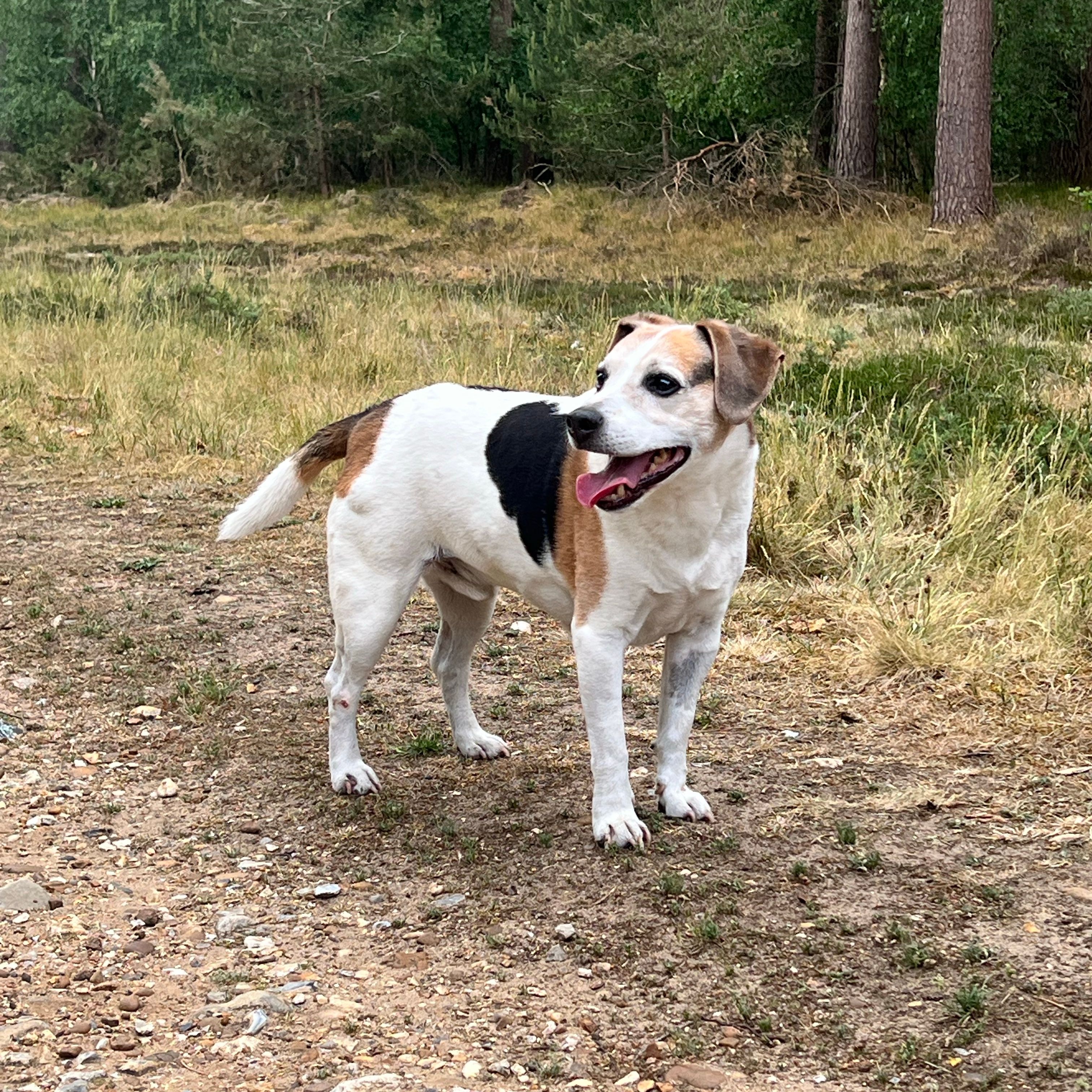 Milo