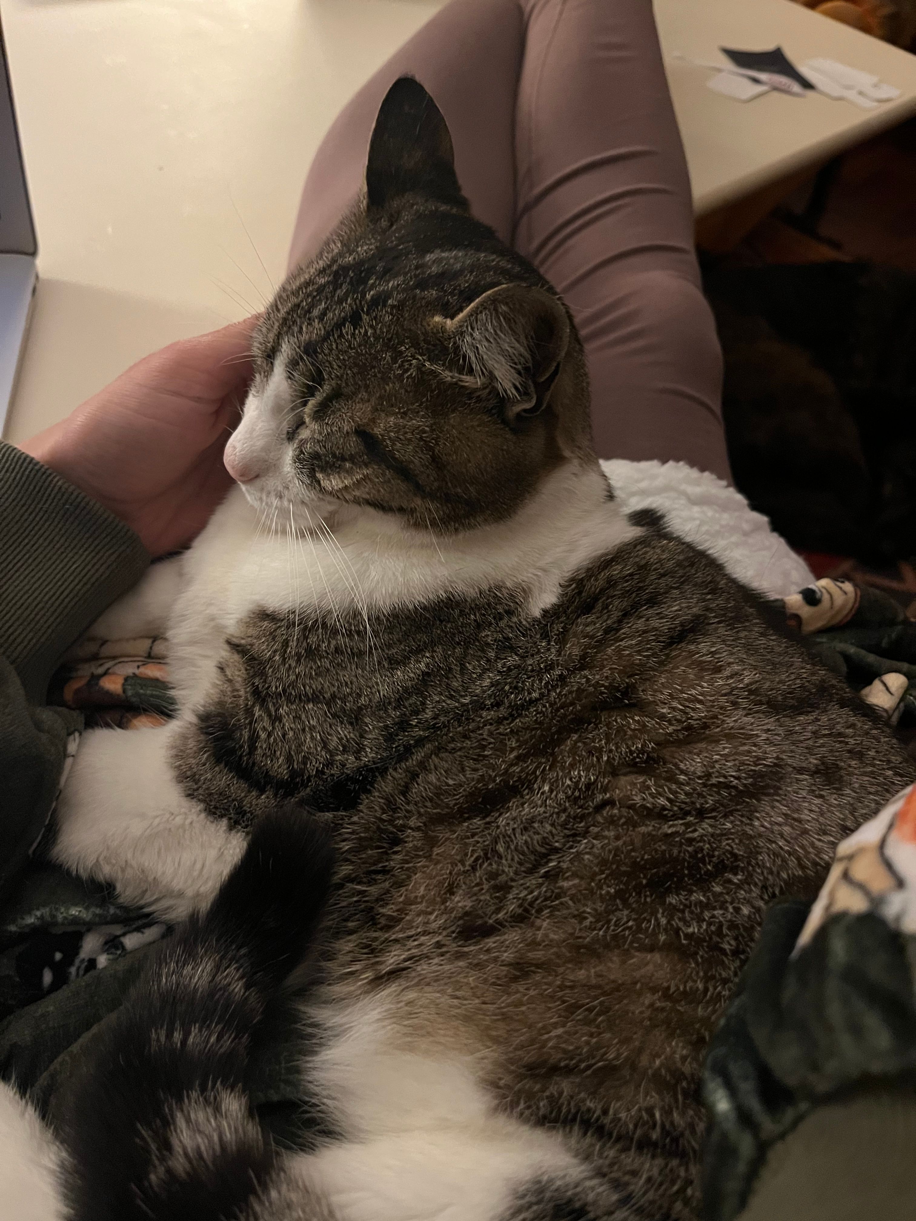 image-6