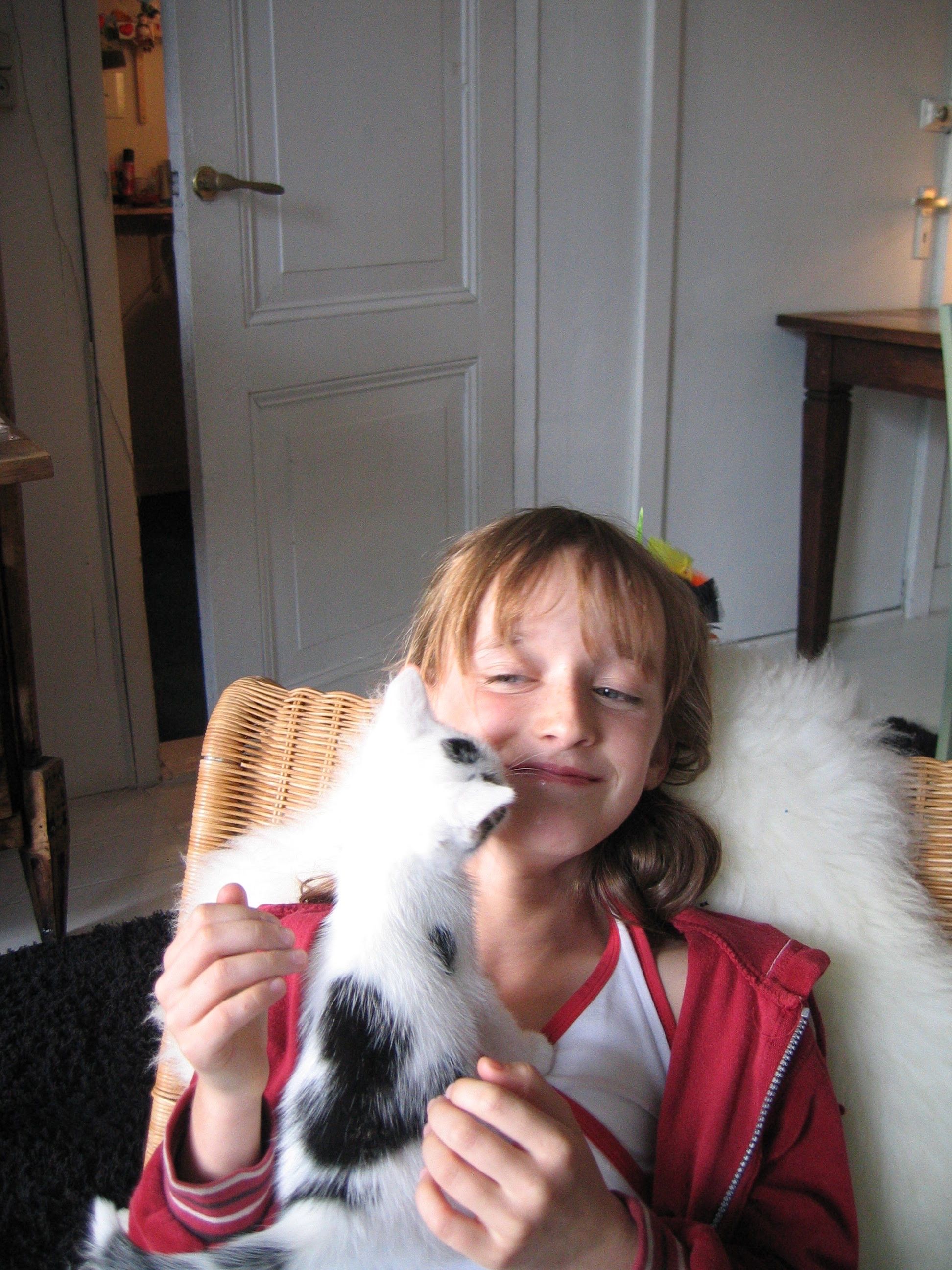 image-8