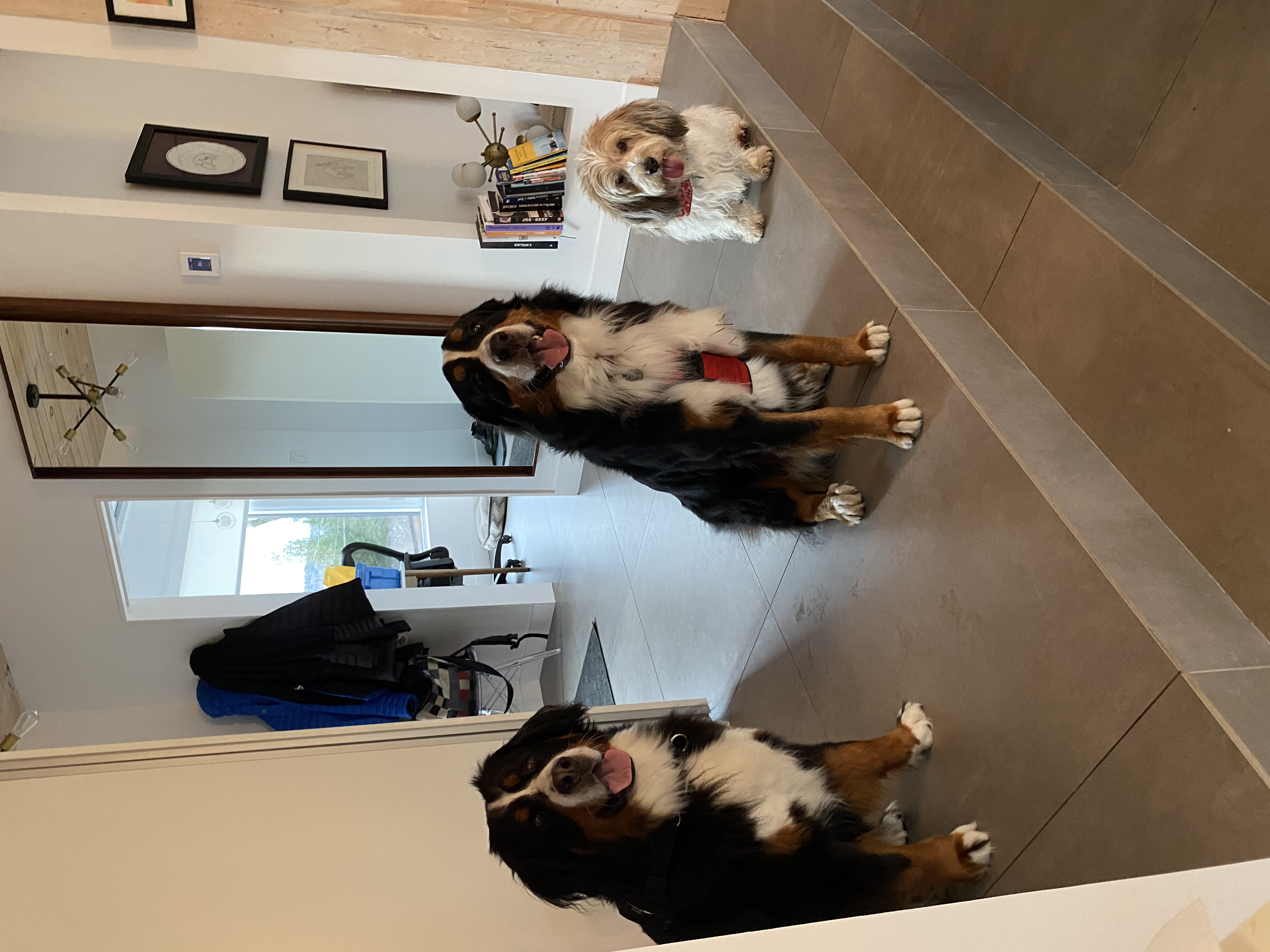 image-16