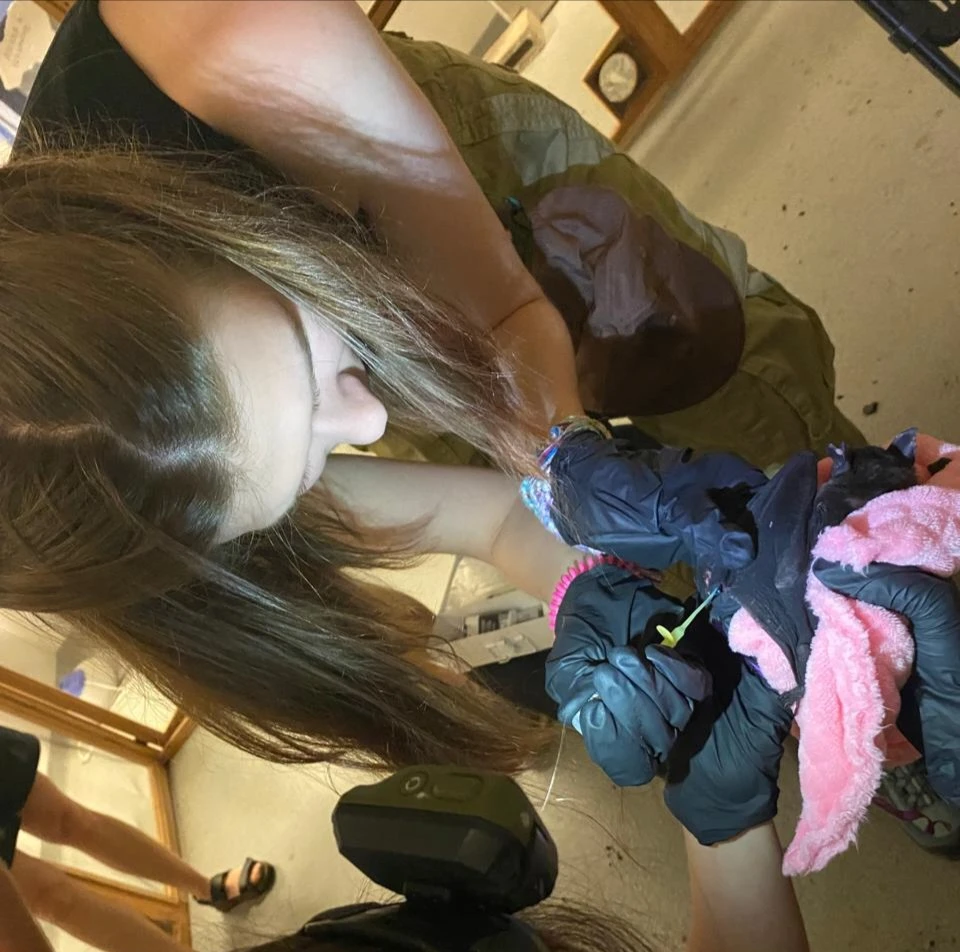 image-6