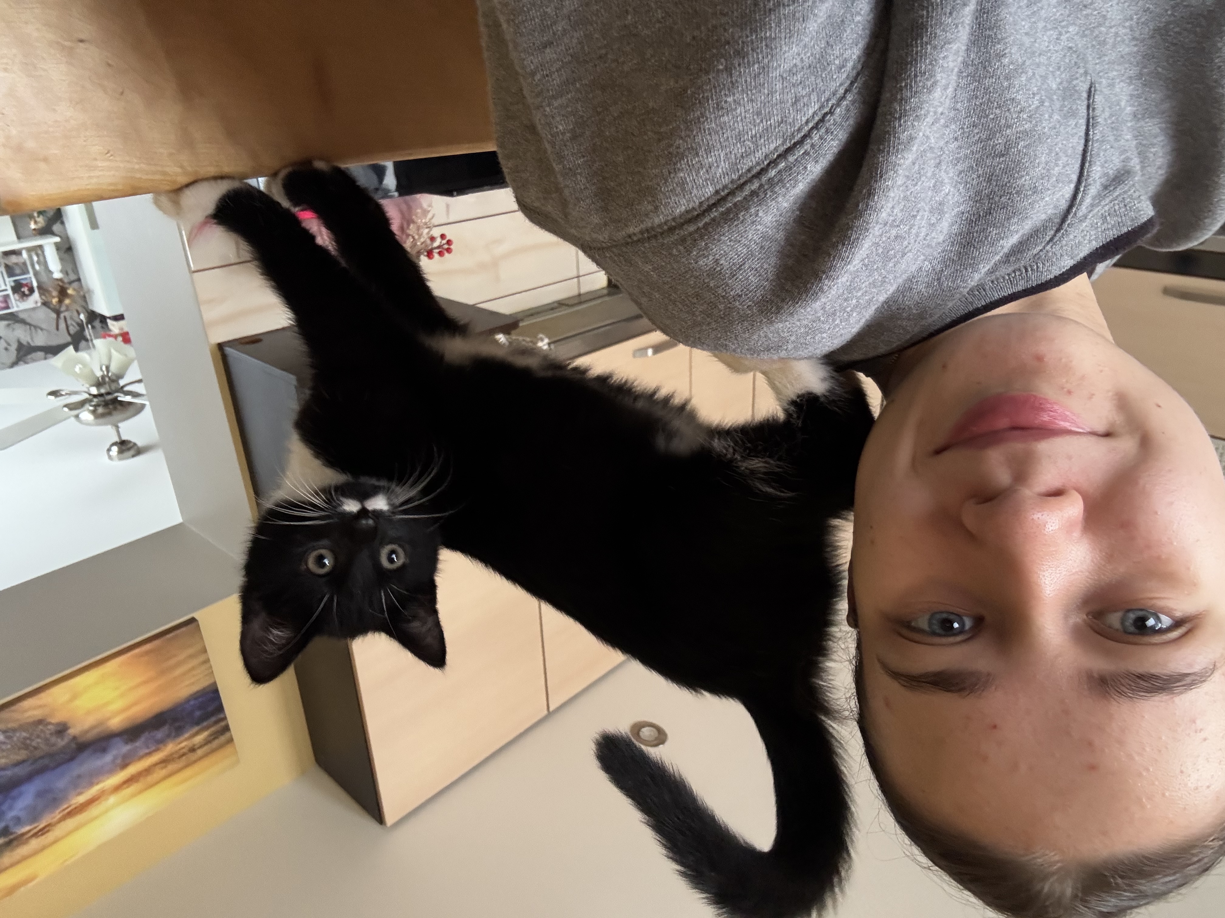 image-6