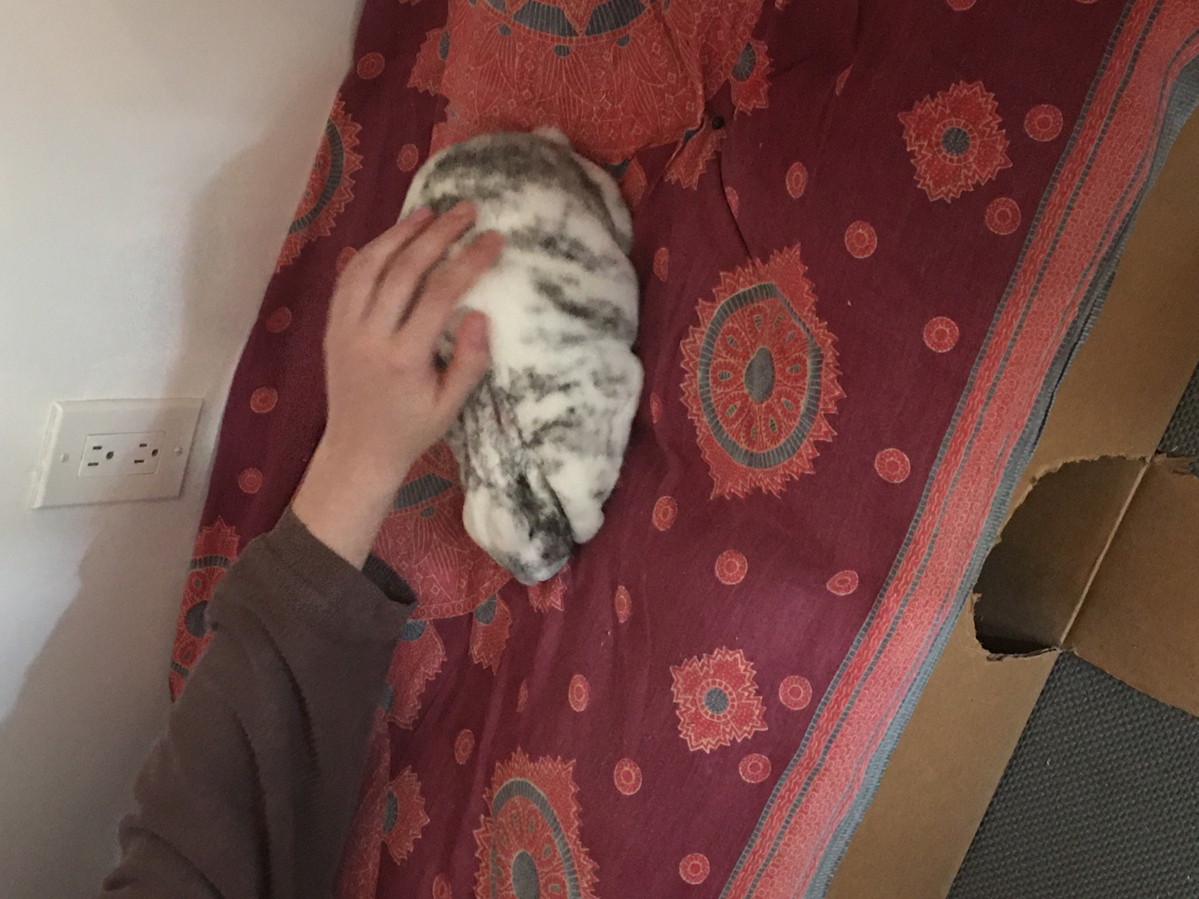 image-14