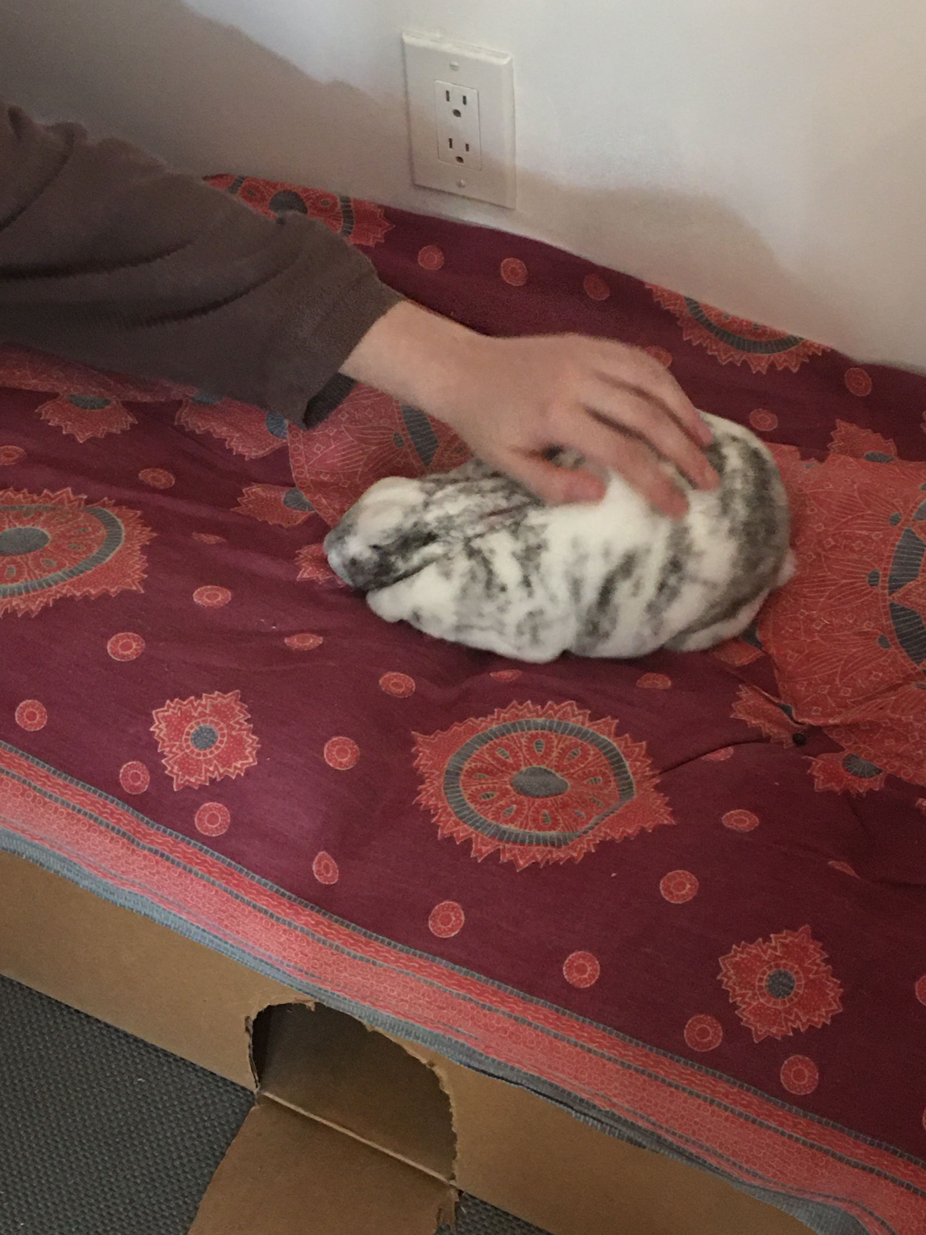 image-14