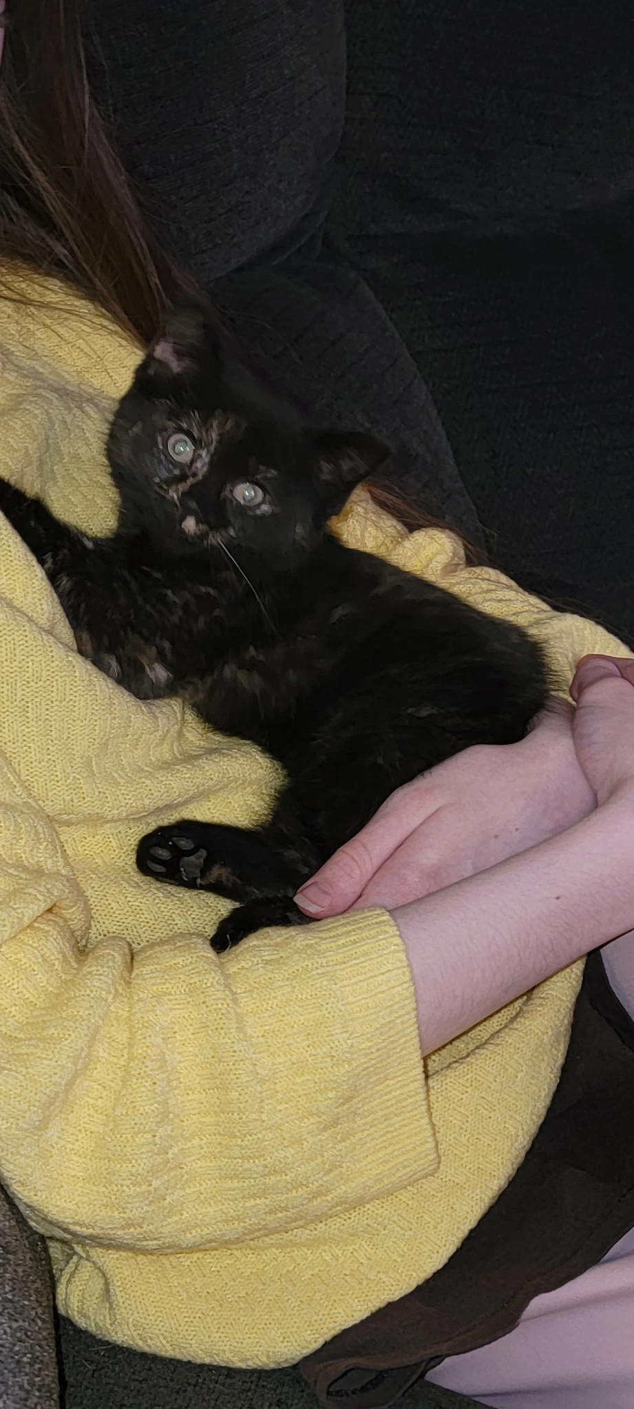 image-8