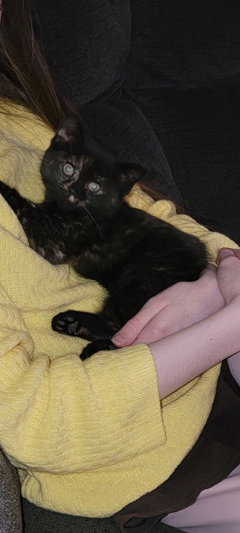 image-8