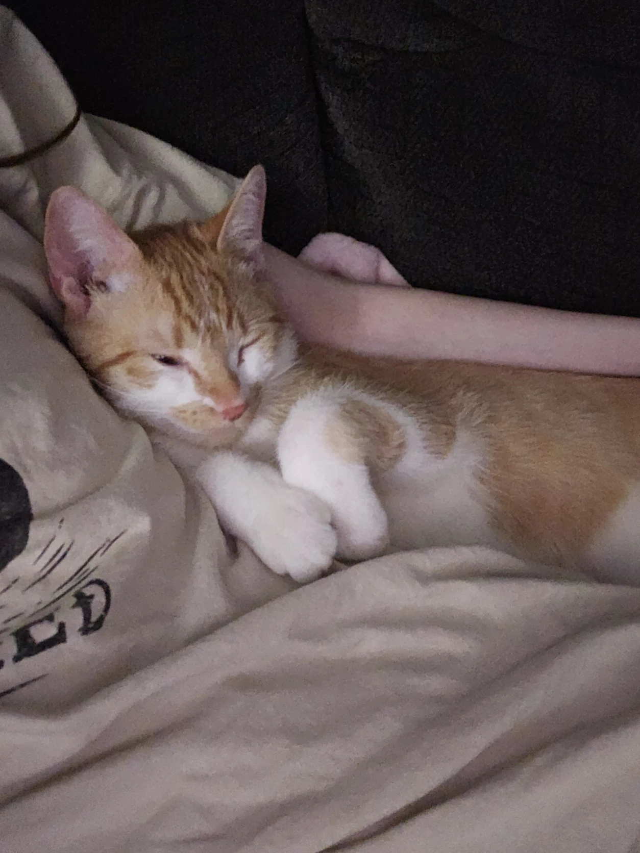 image-6