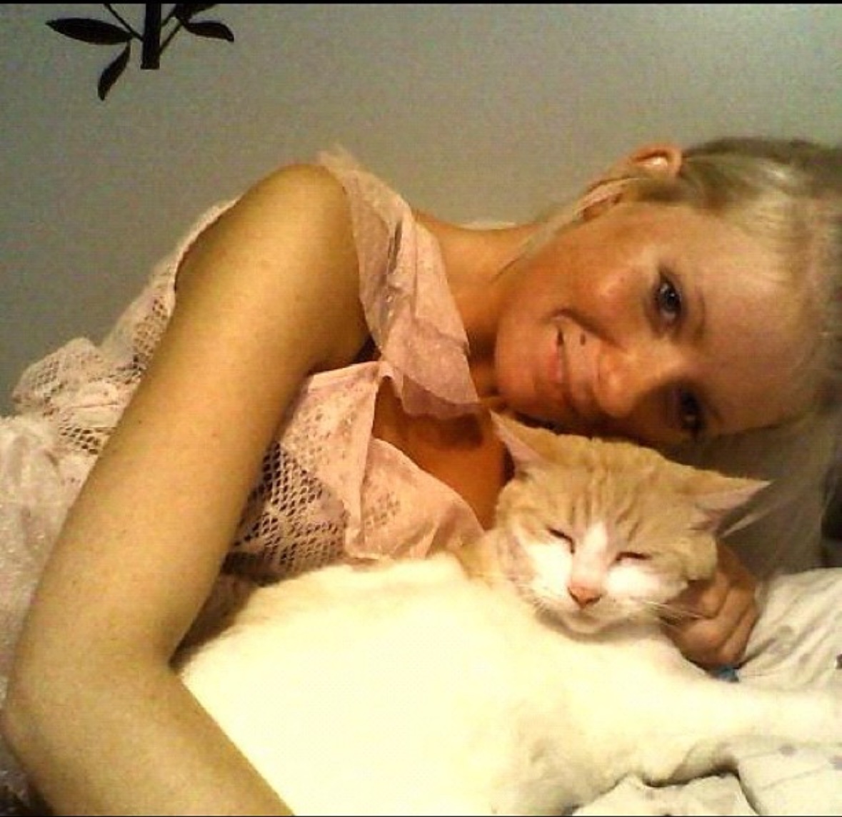 image-7