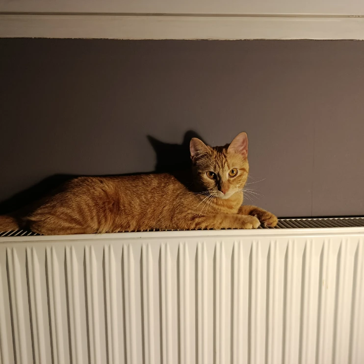 Hermione 