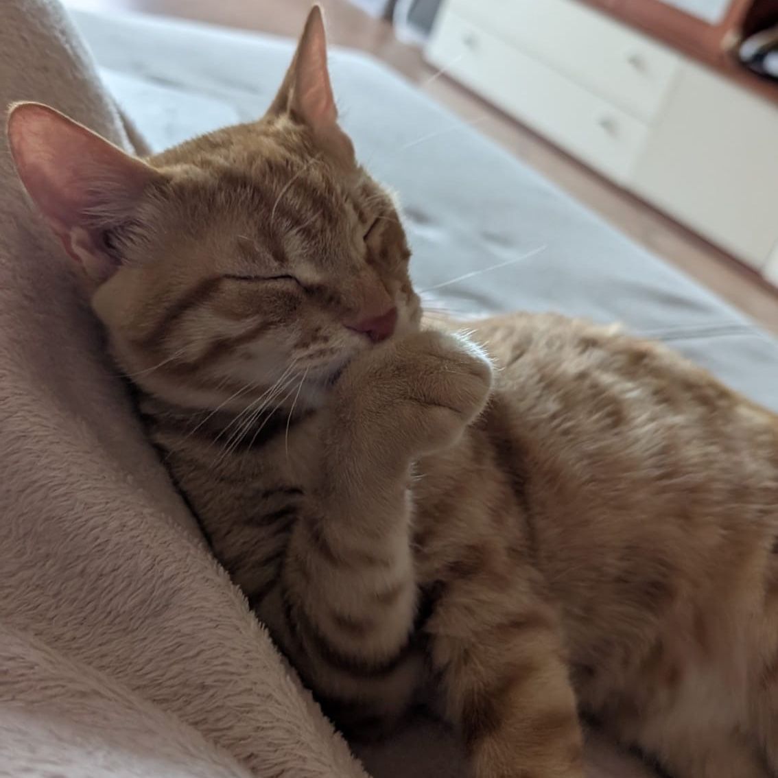 Mochi