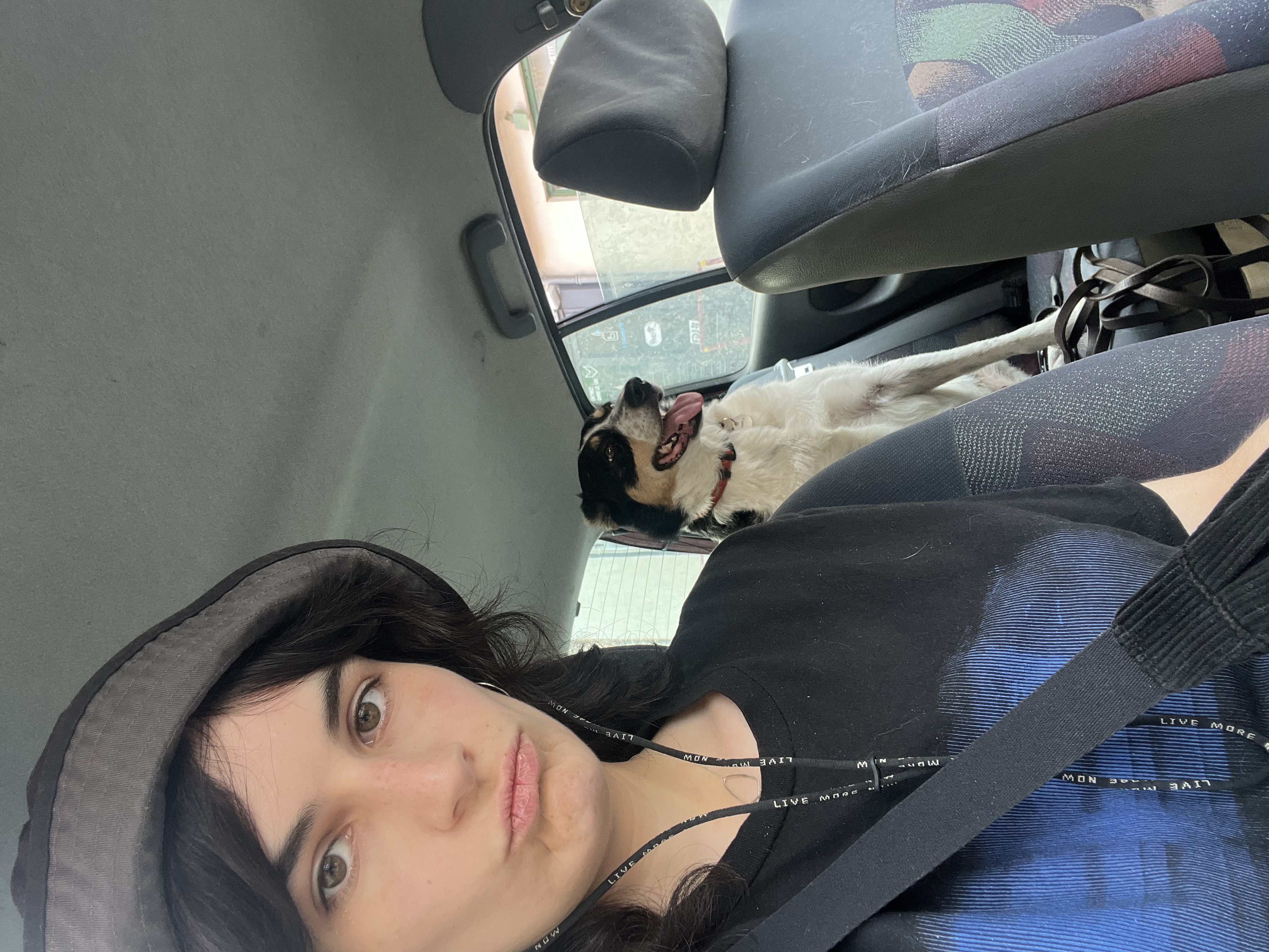 image-3