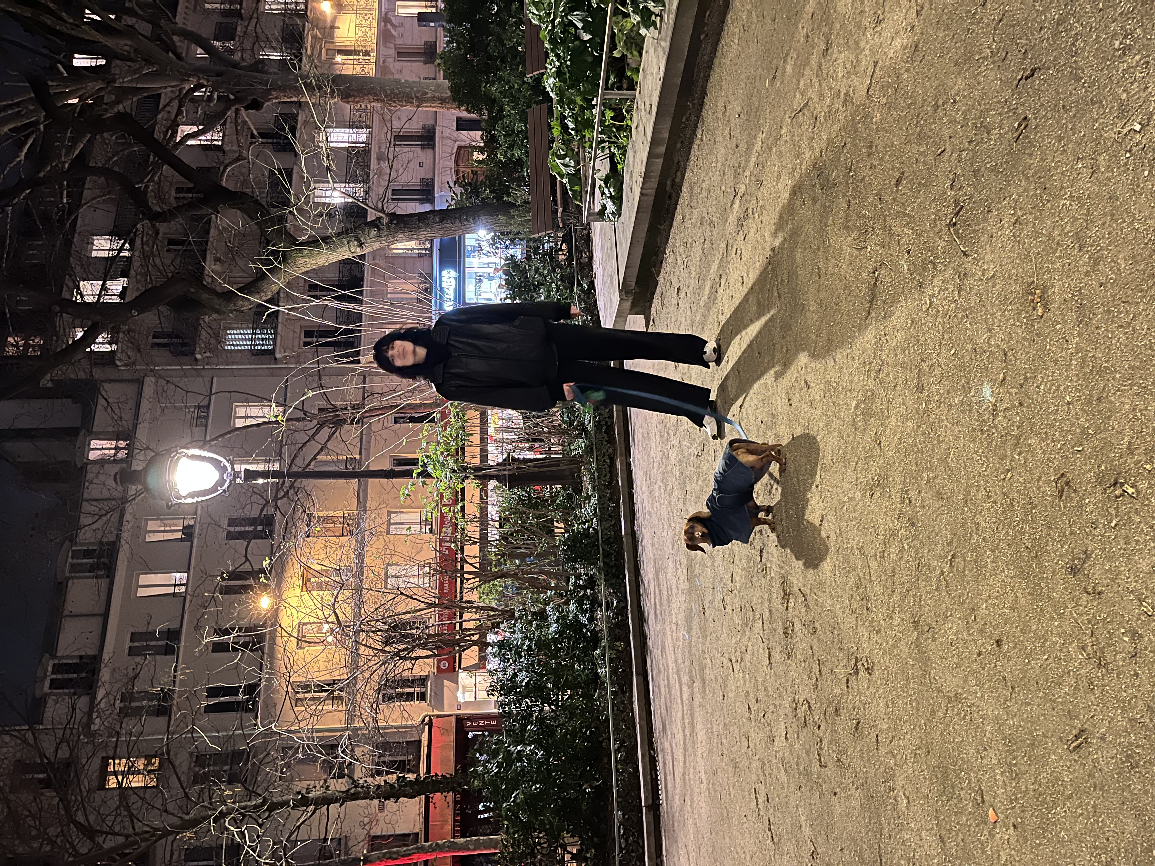 image-11