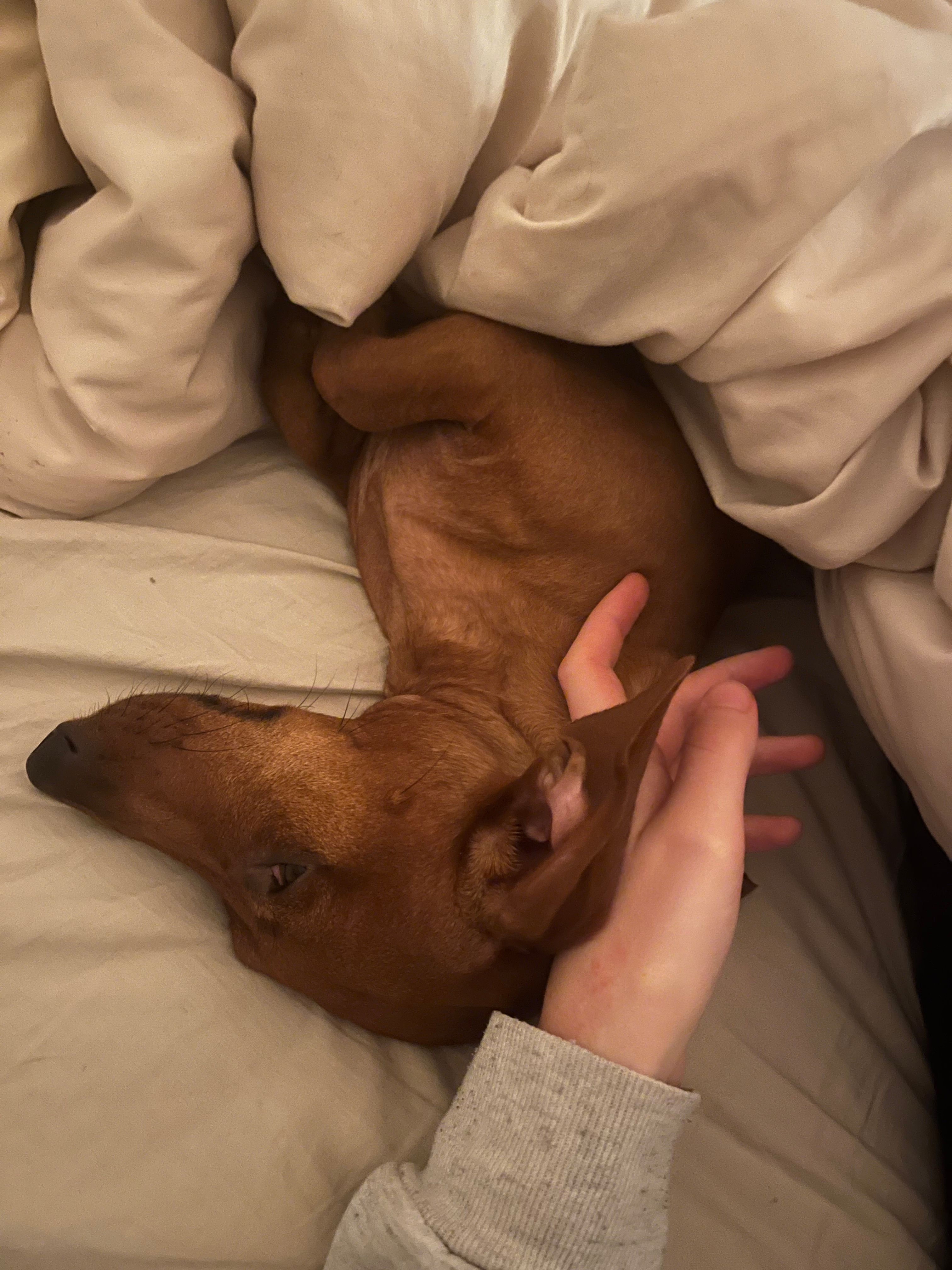 image-8