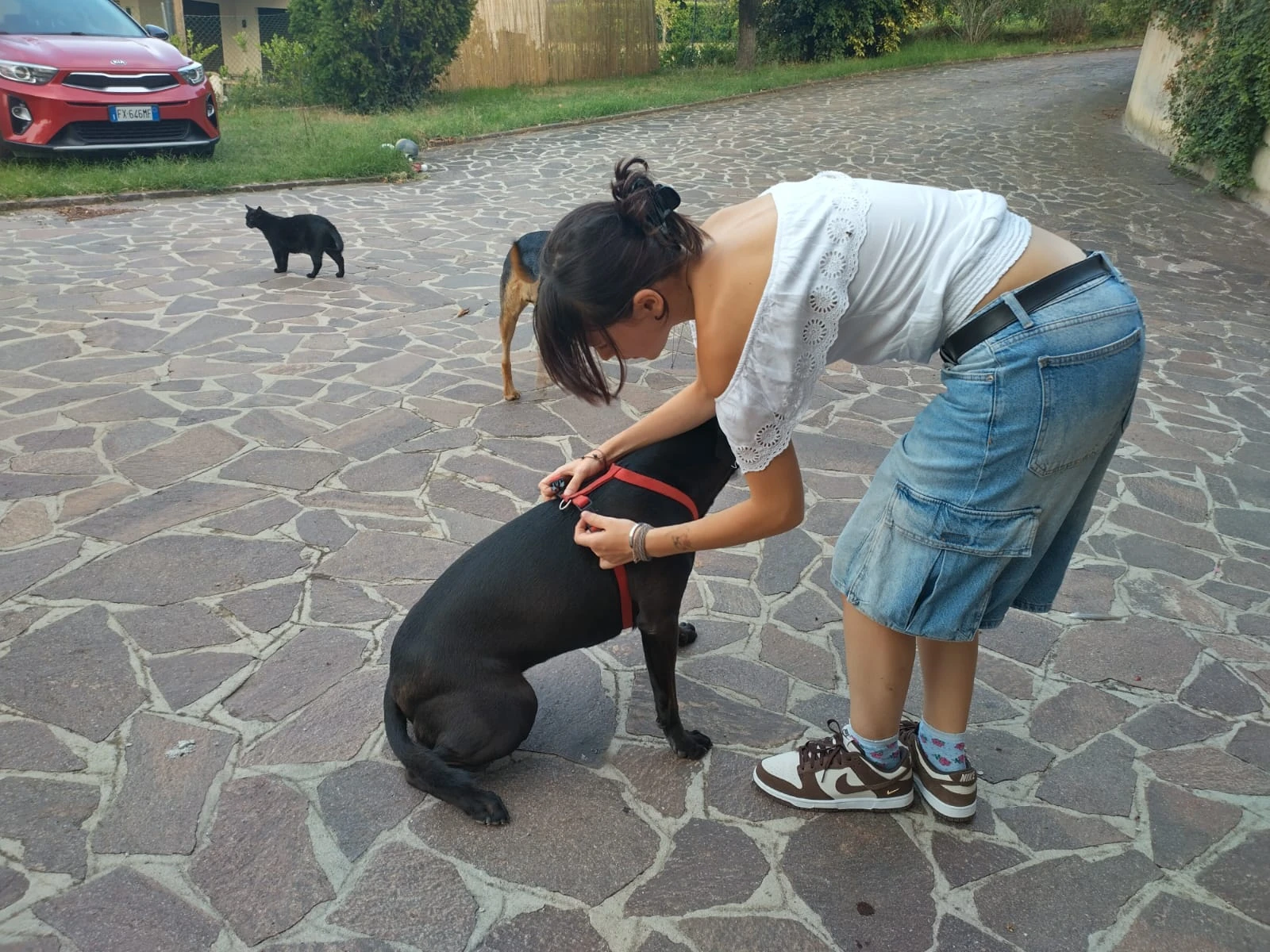 image-8