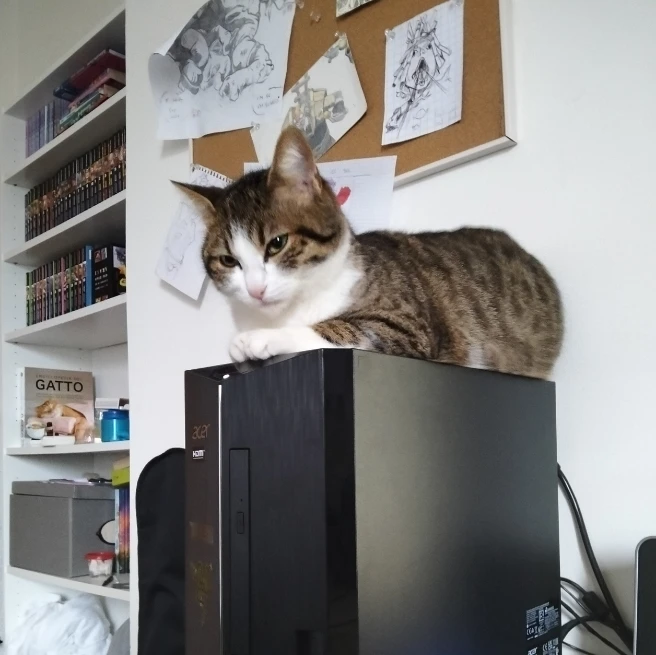 Mia