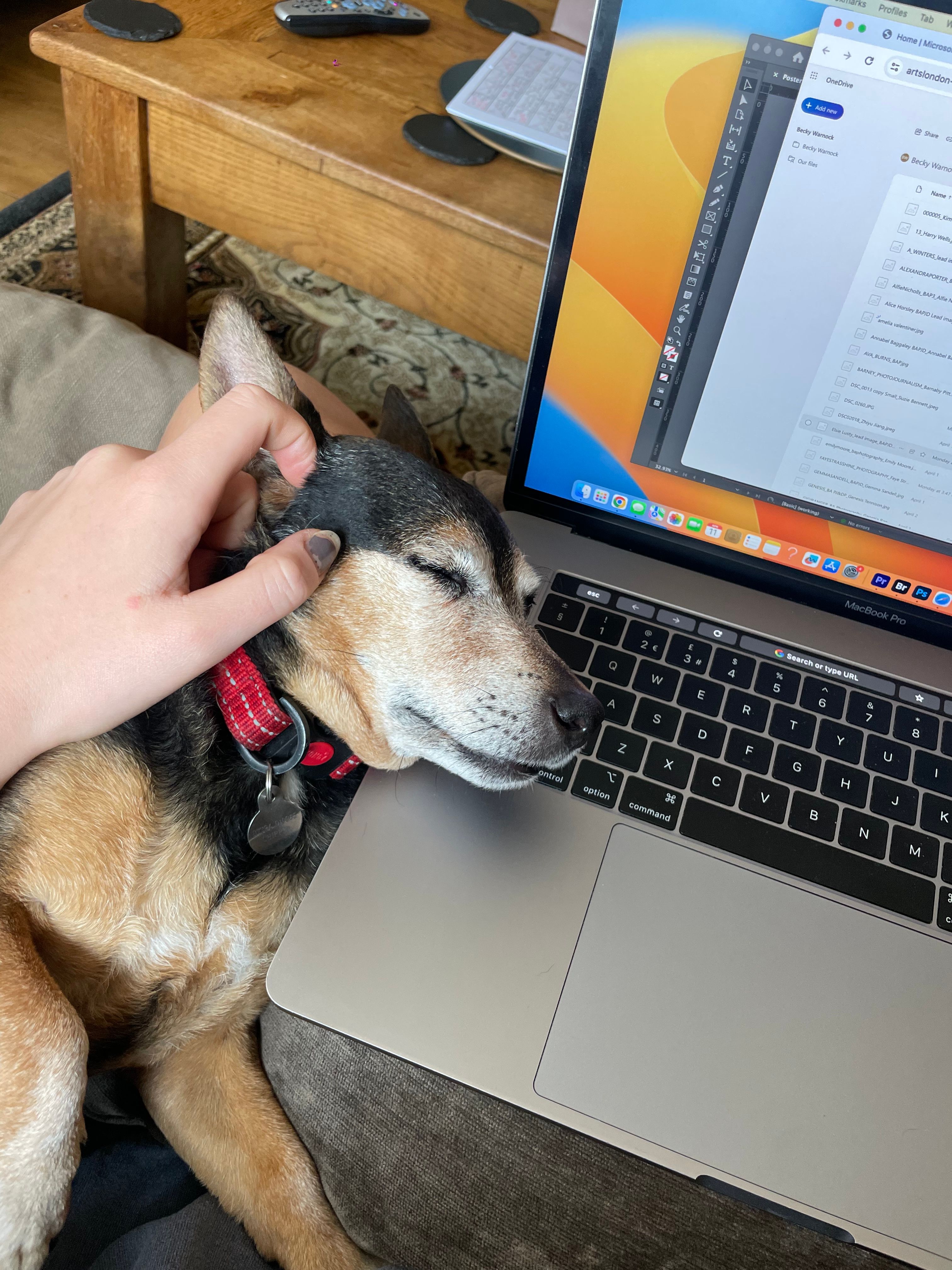 image-8