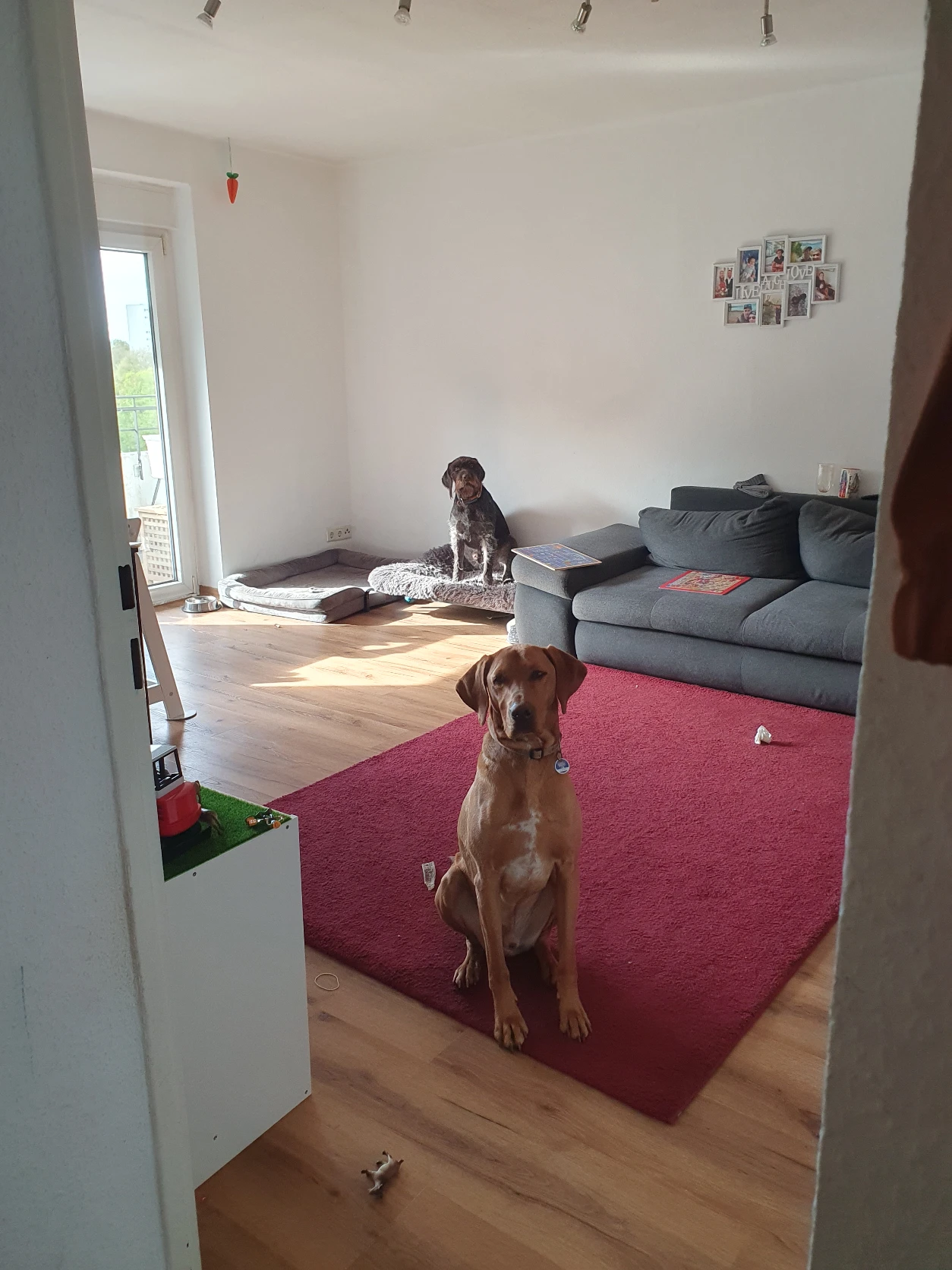 image-27