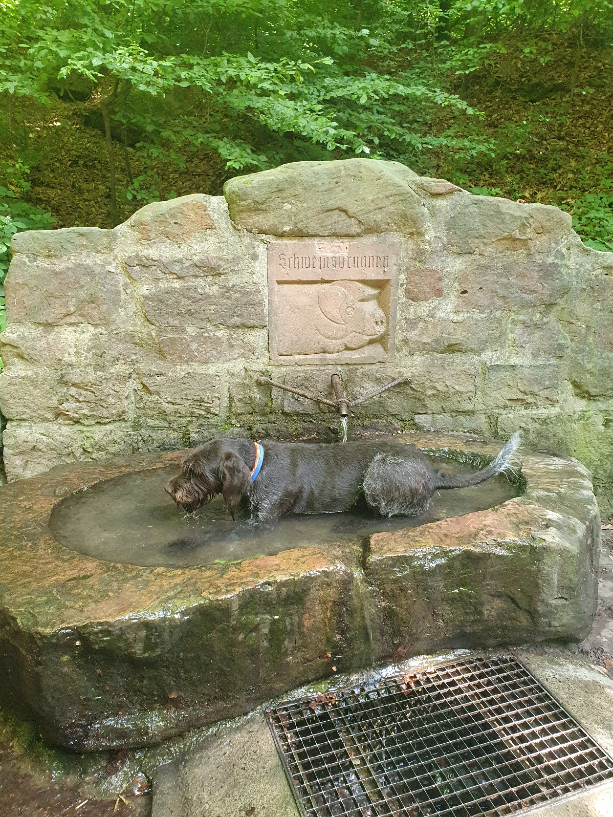 image-10