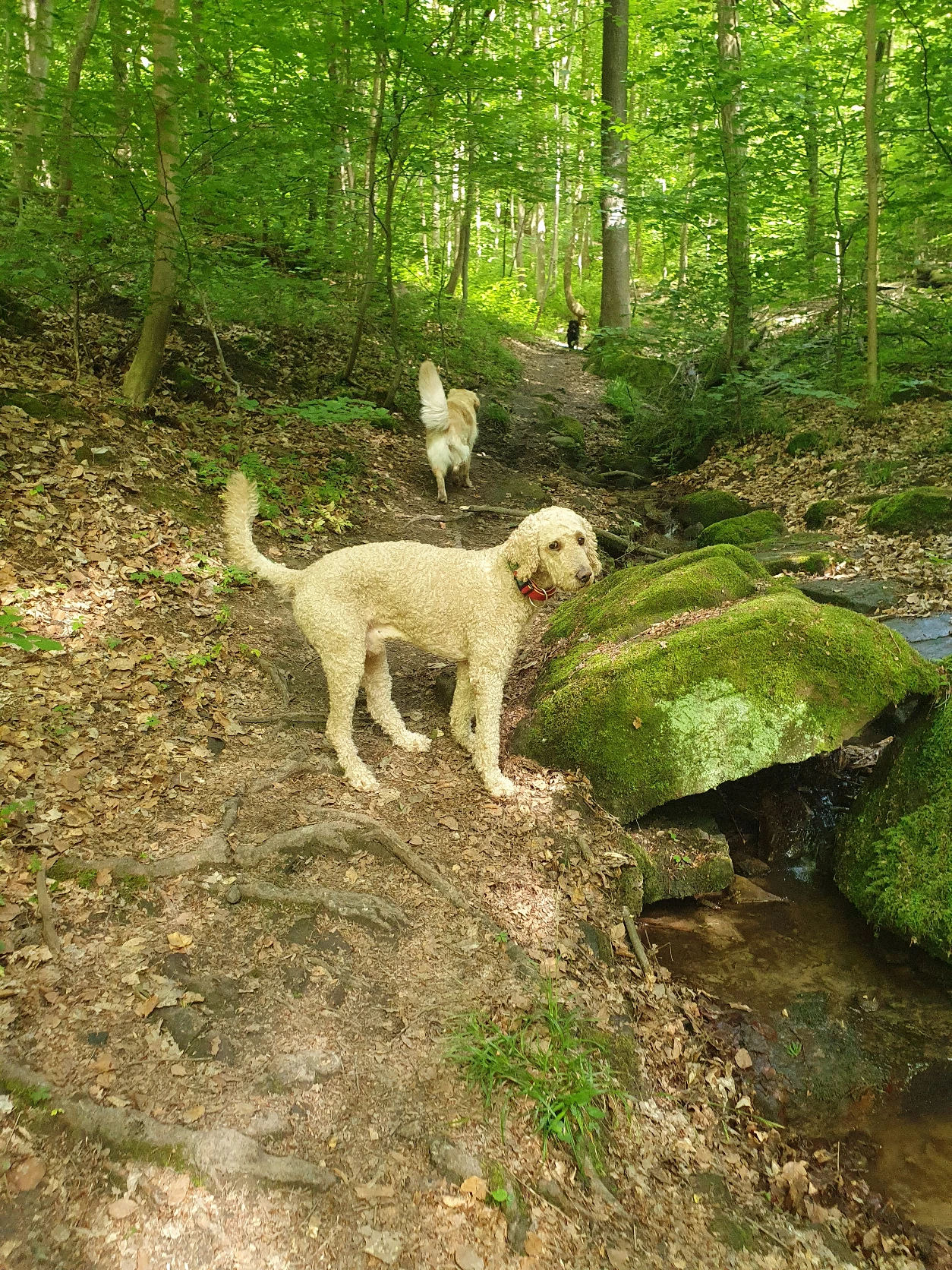 image-9