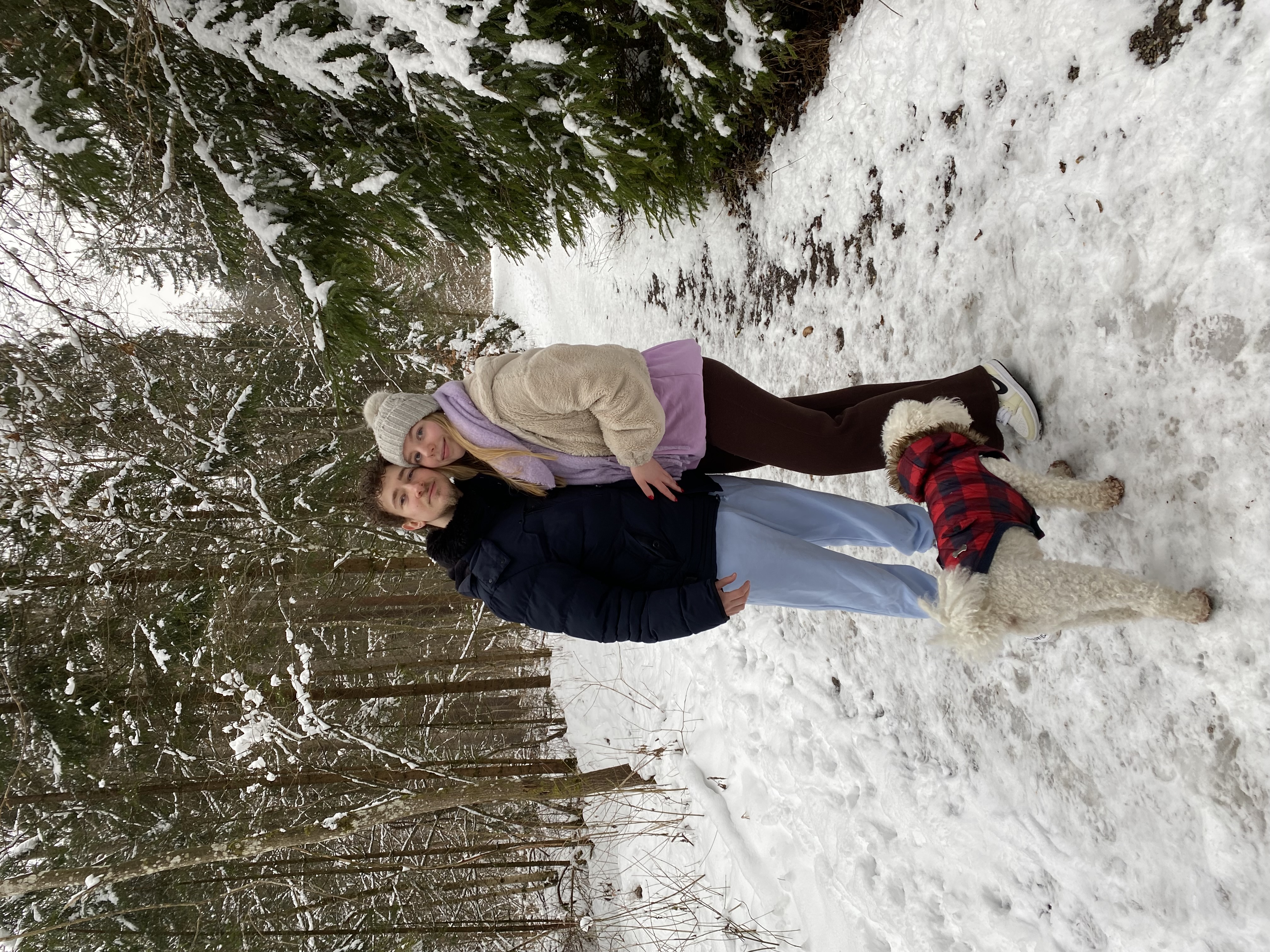 image-2