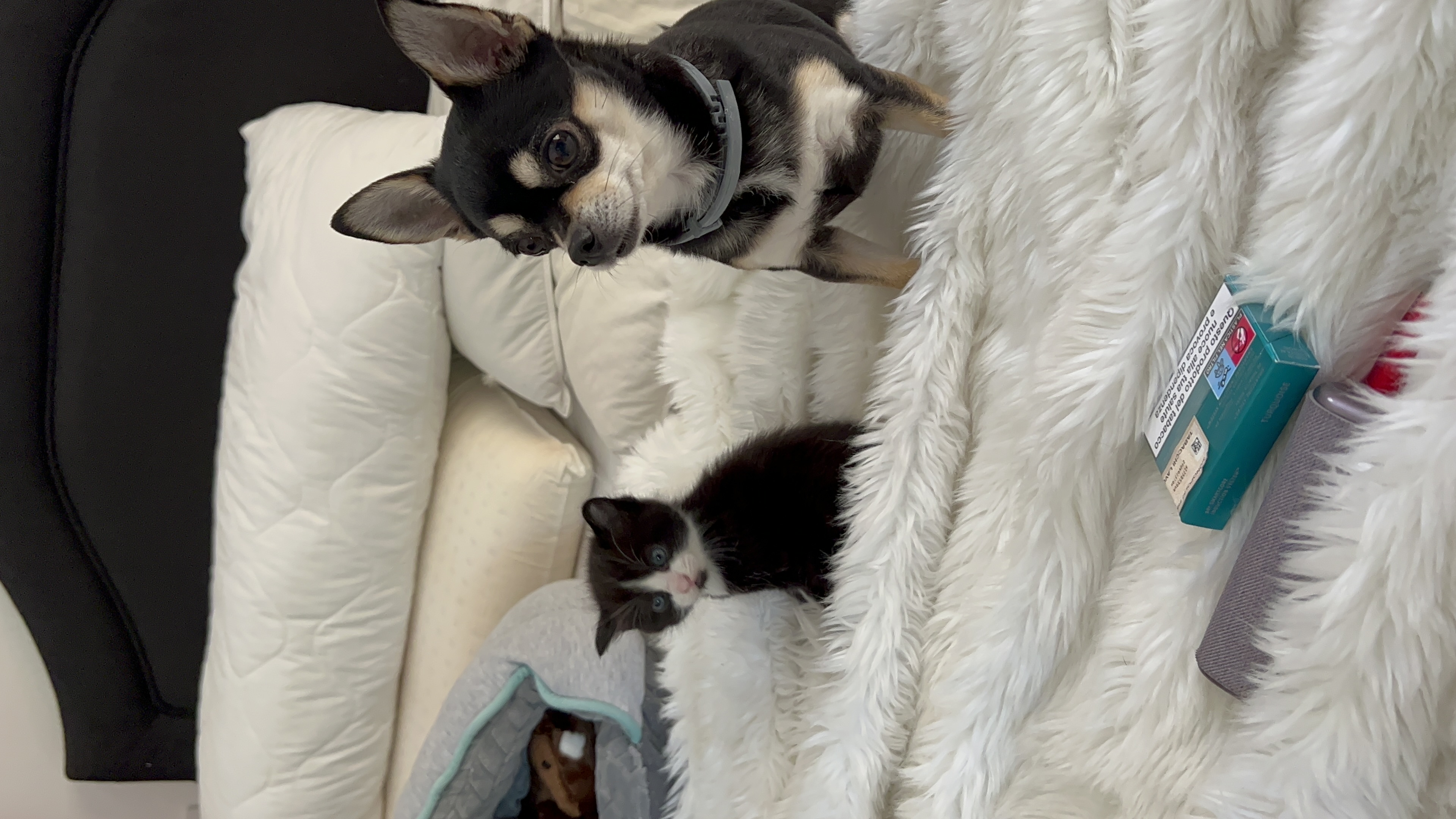 image-8