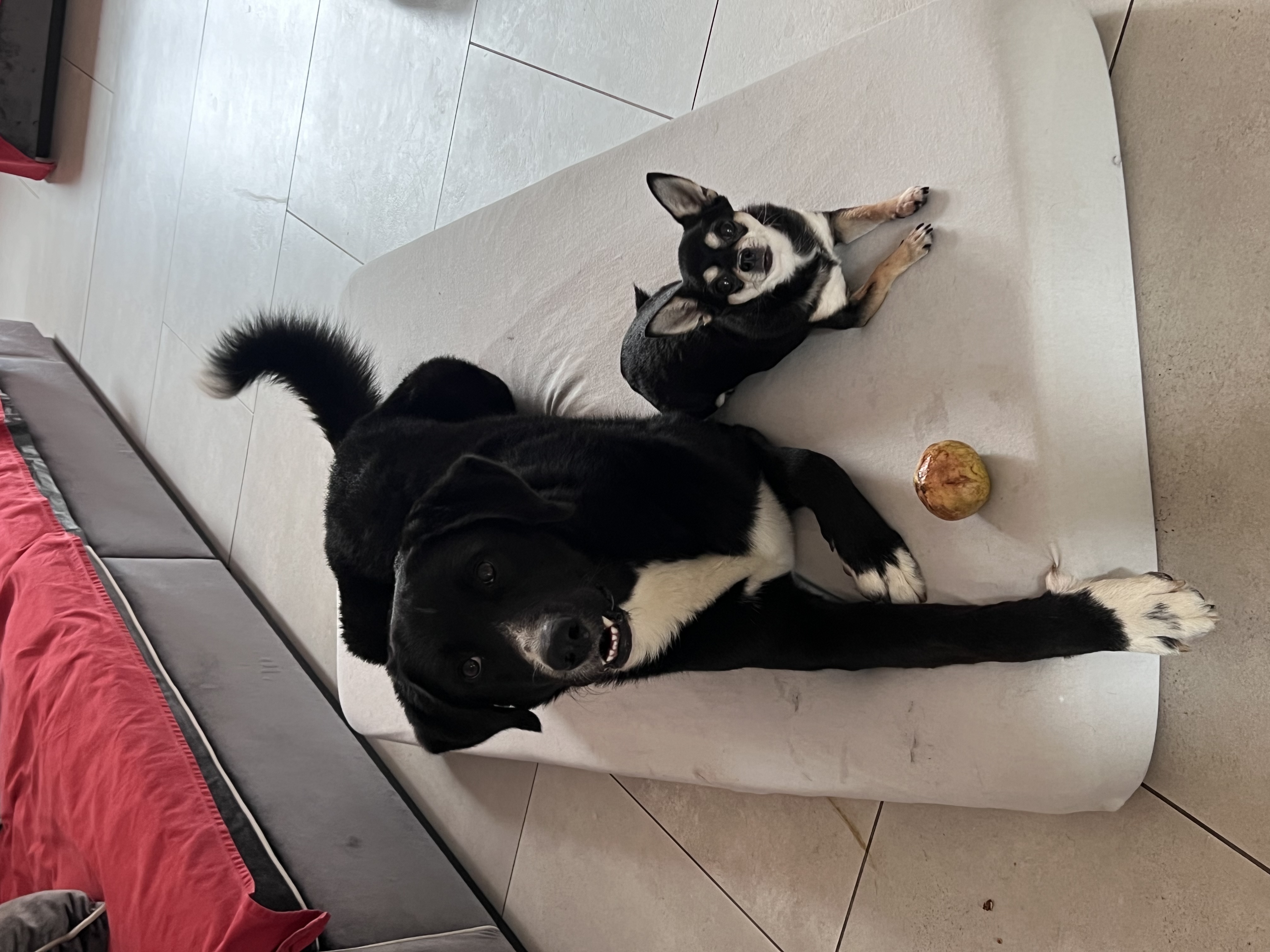 image-6