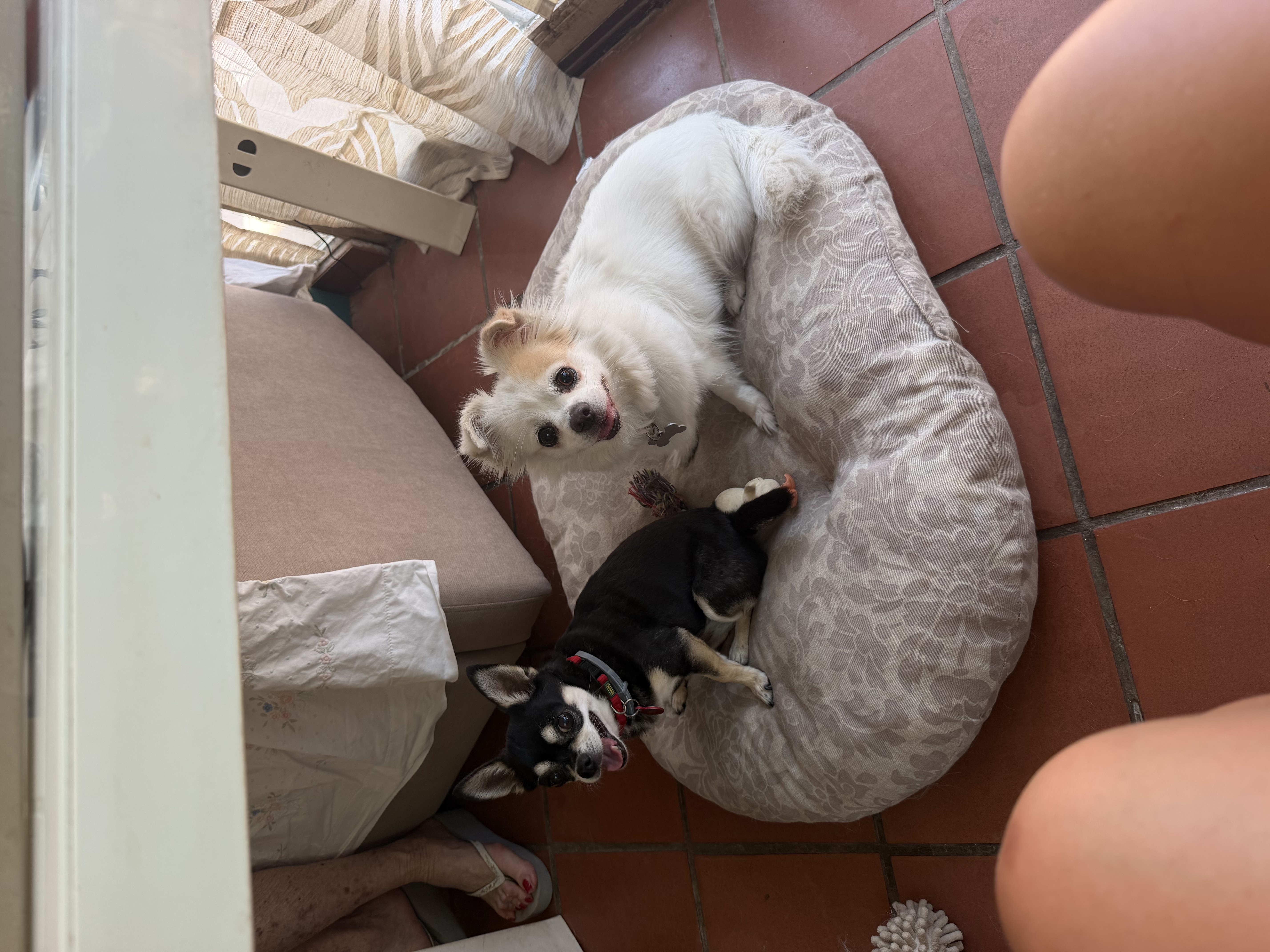 image-16