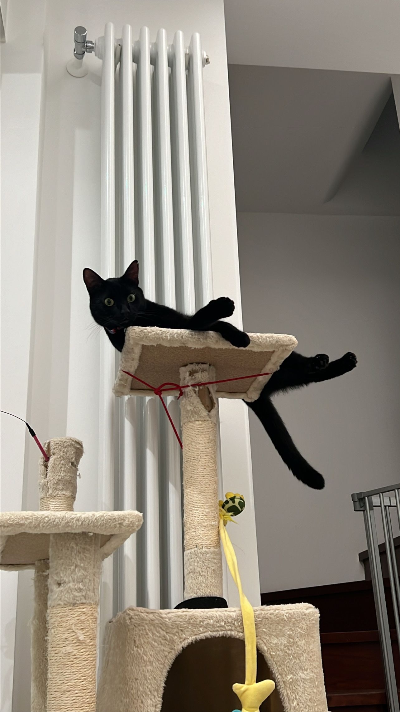 image-18