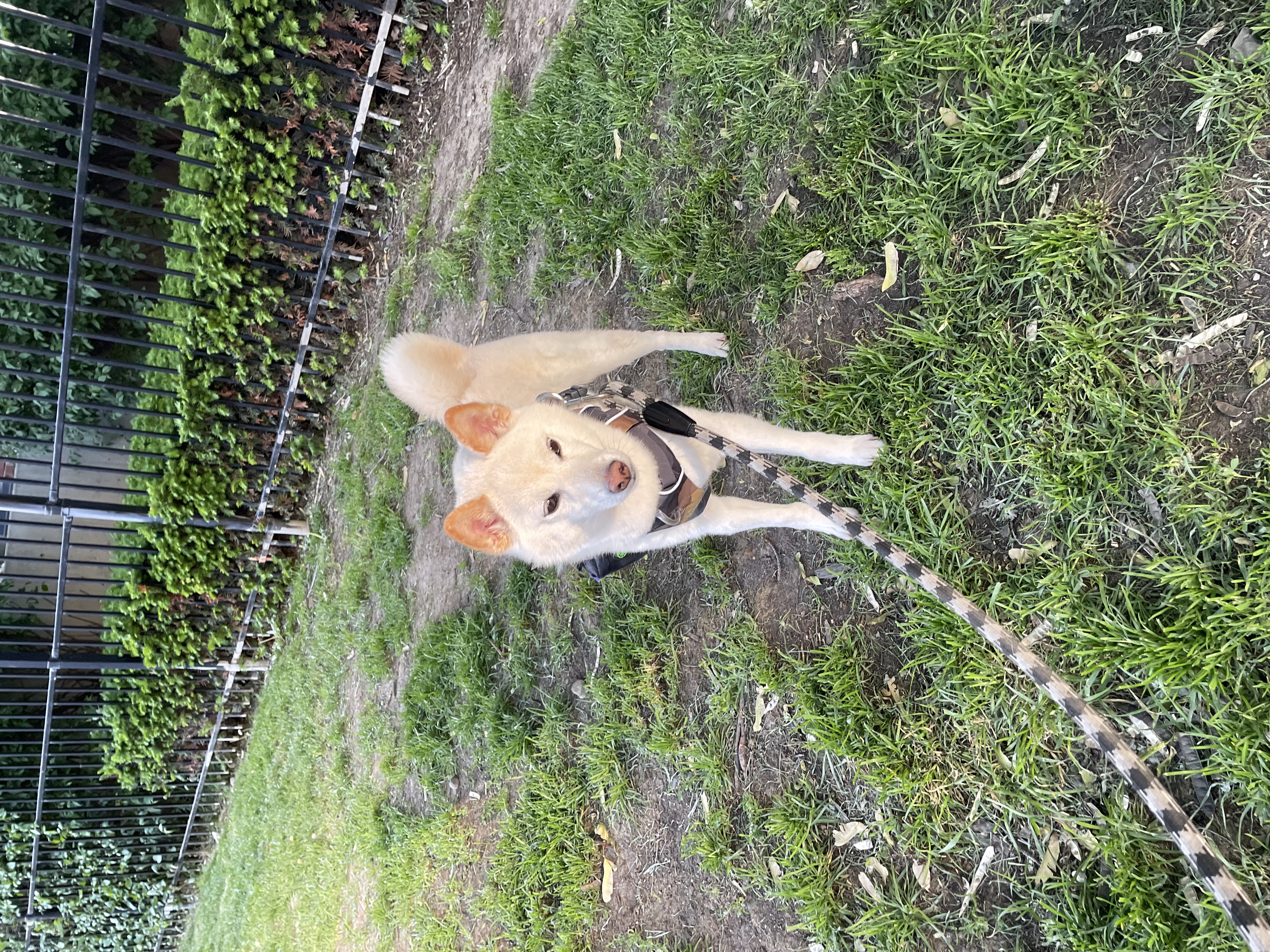 image-8