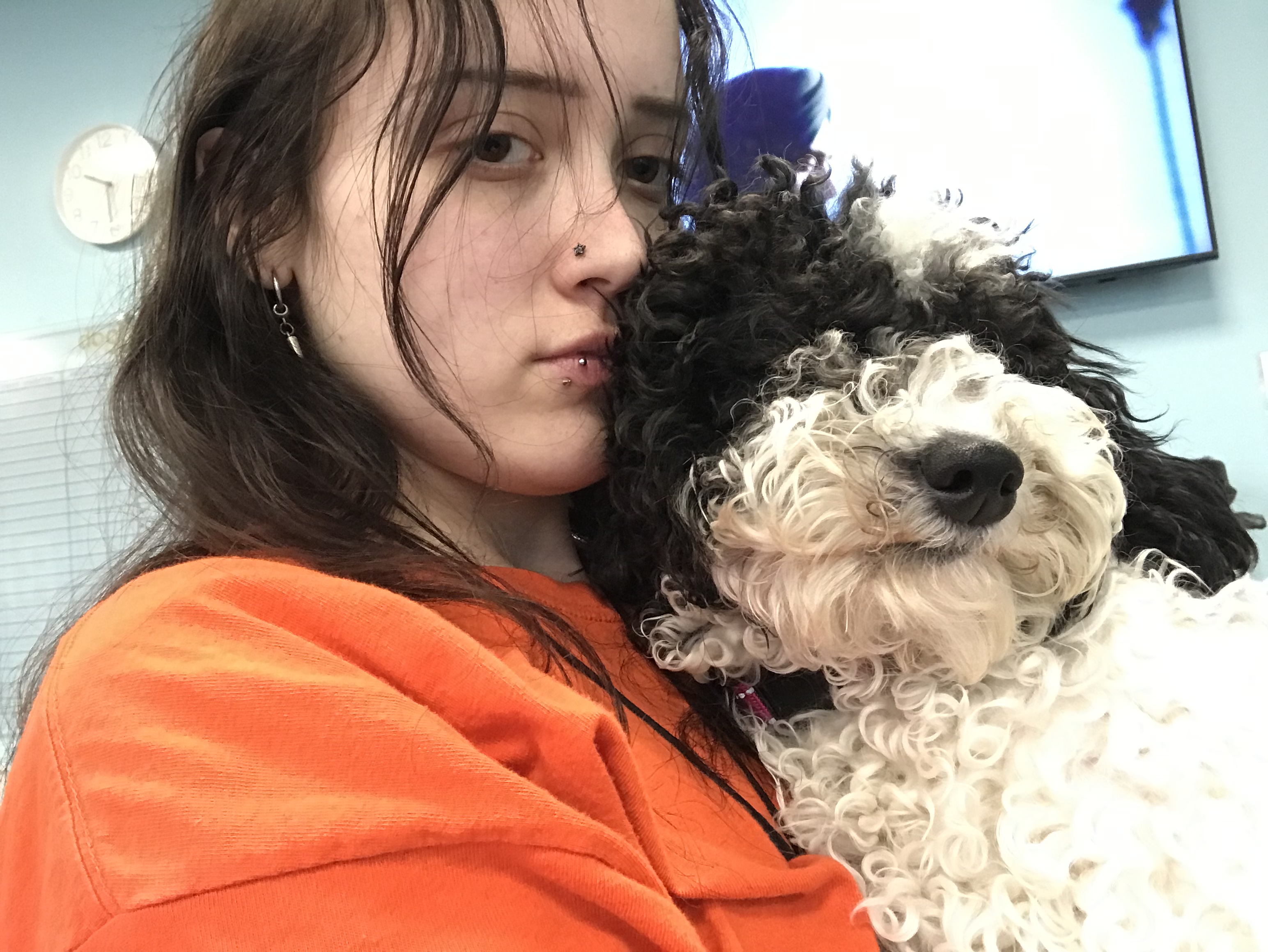 image-9