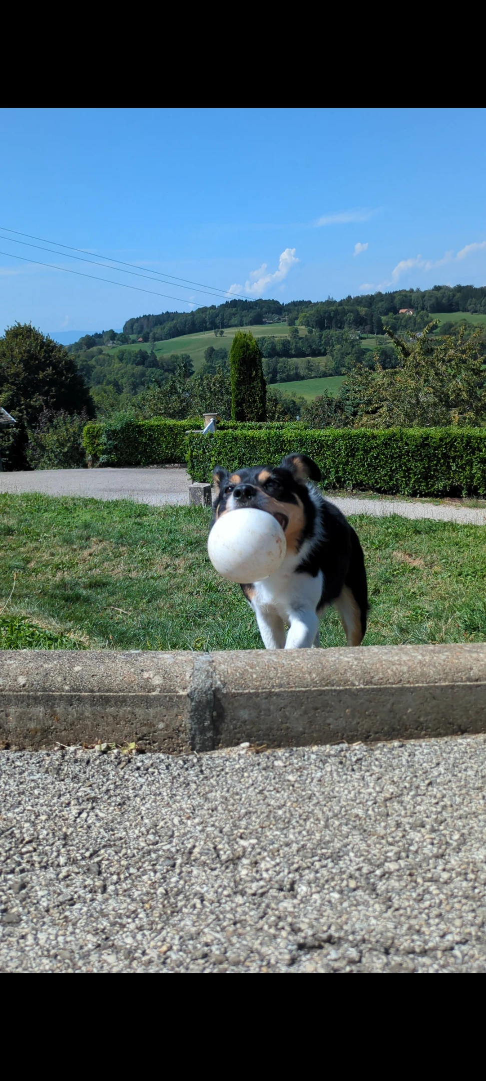 image-15
