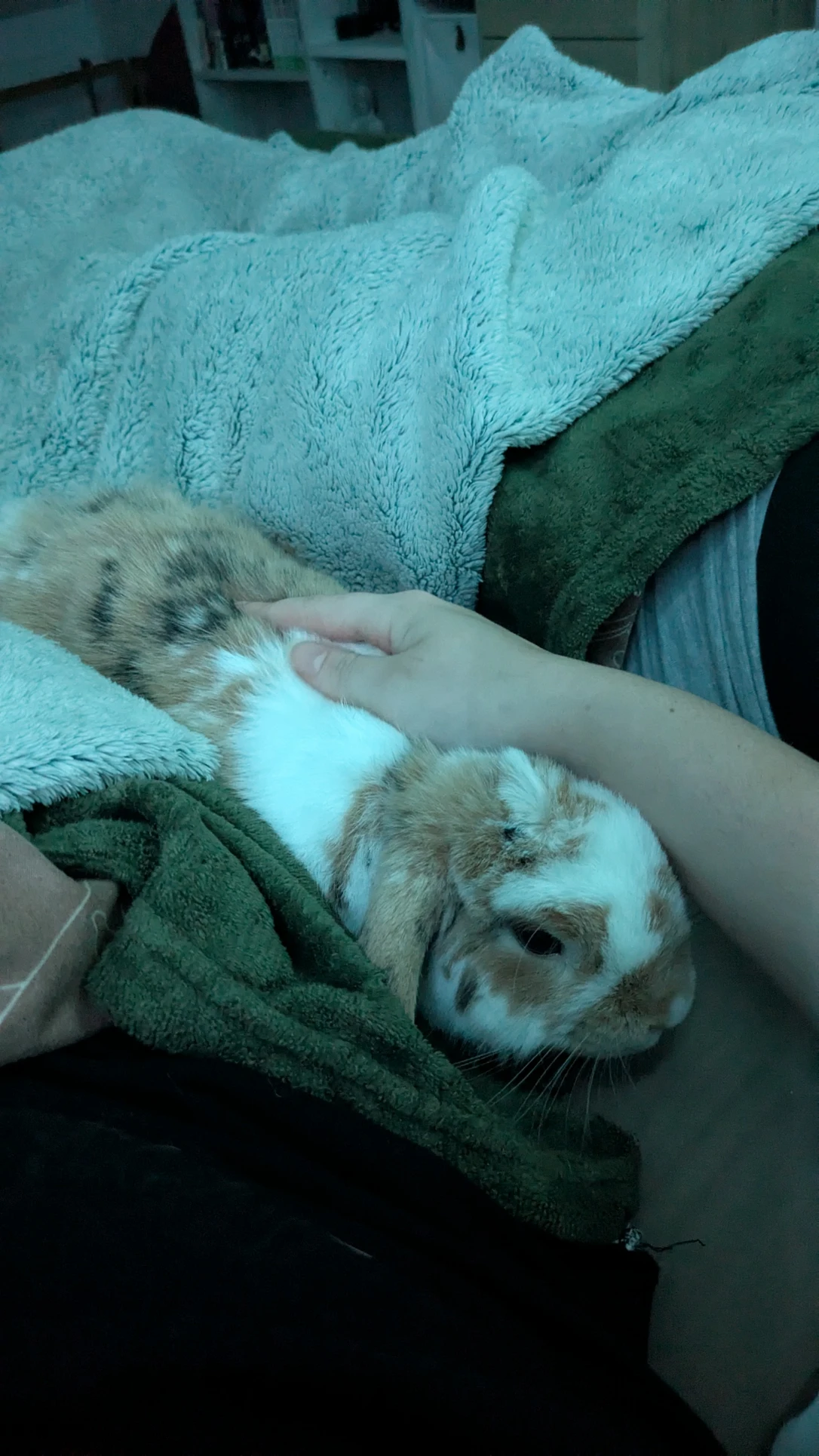 image-16