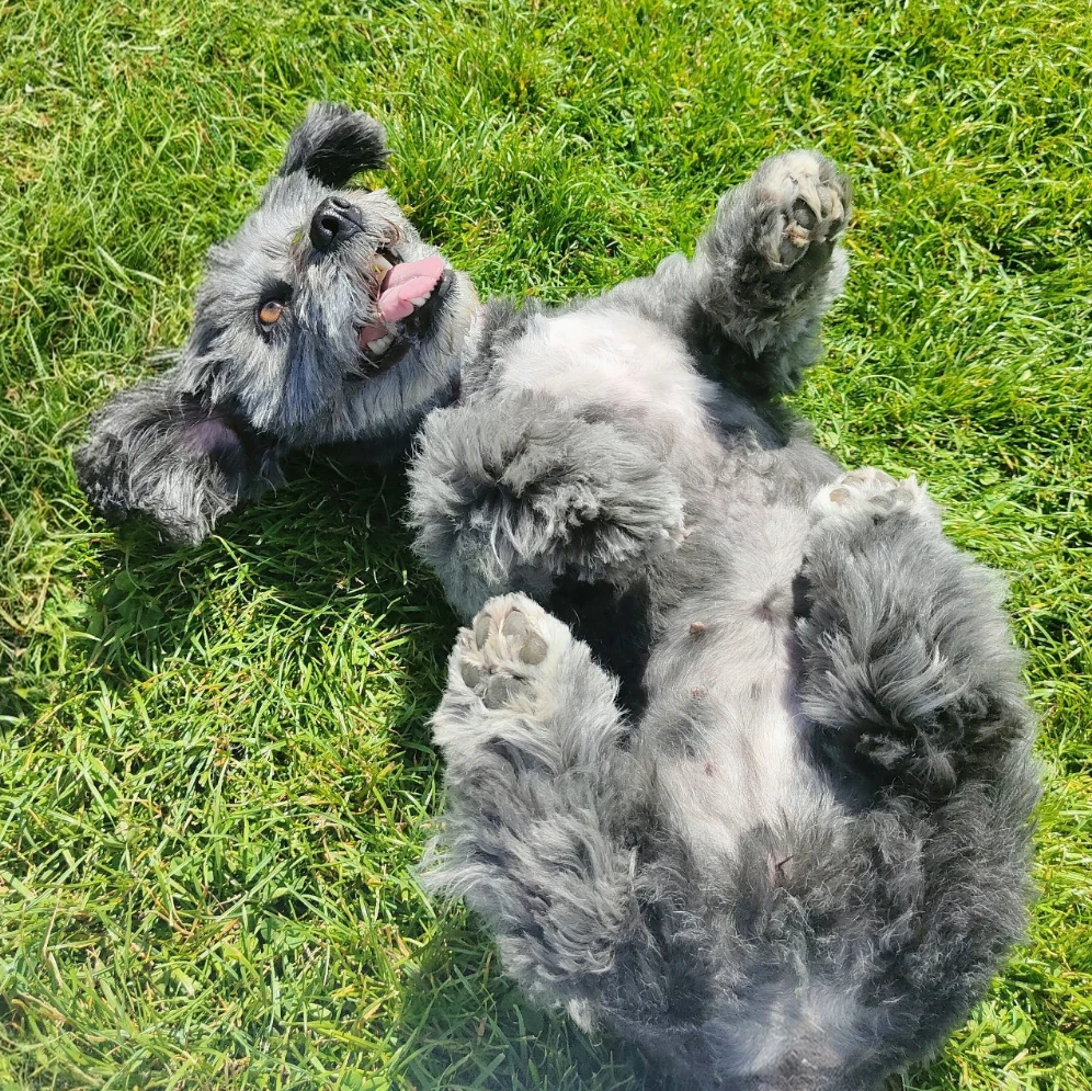 rita