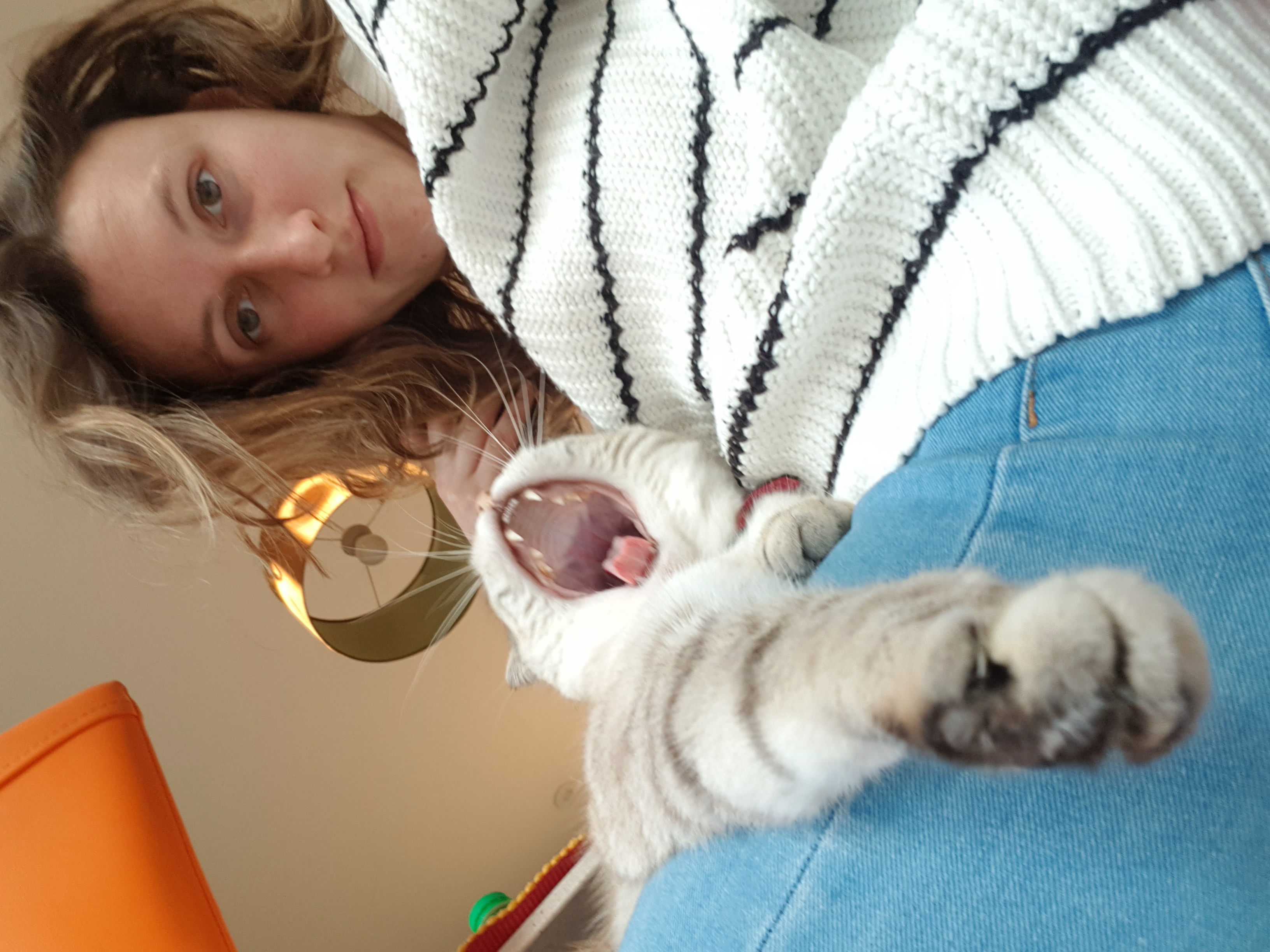 image-5