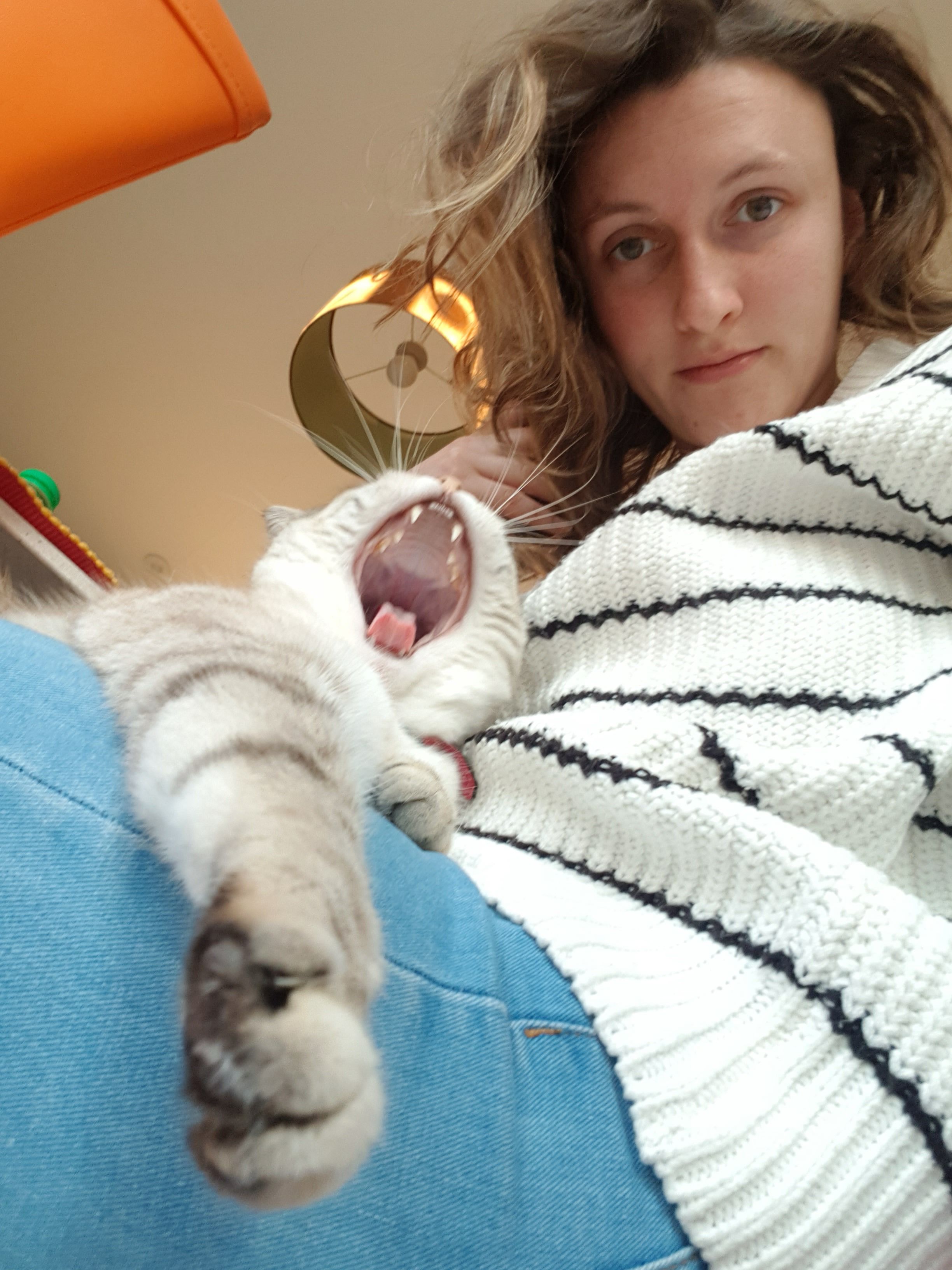 image-5