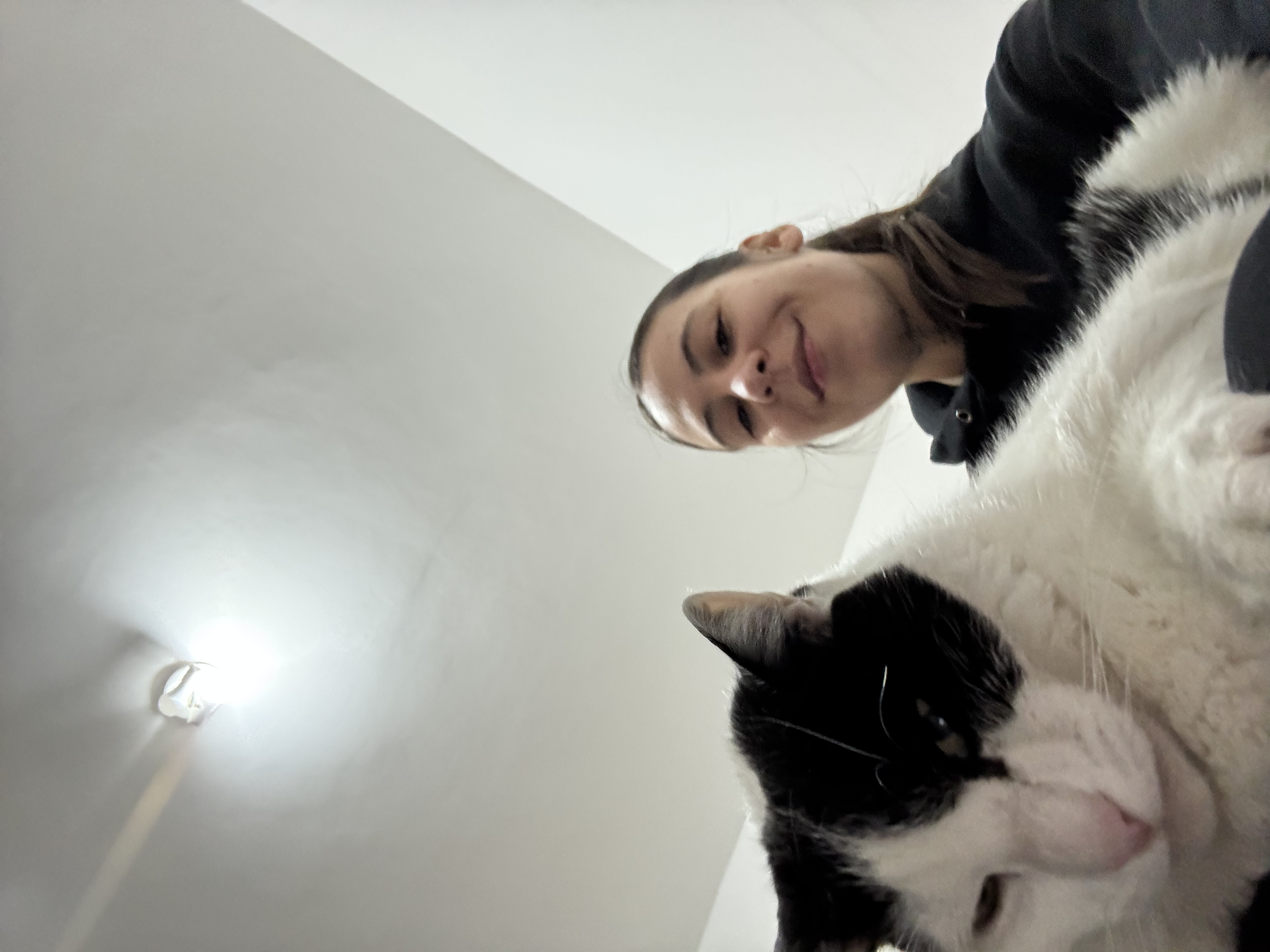 image-7