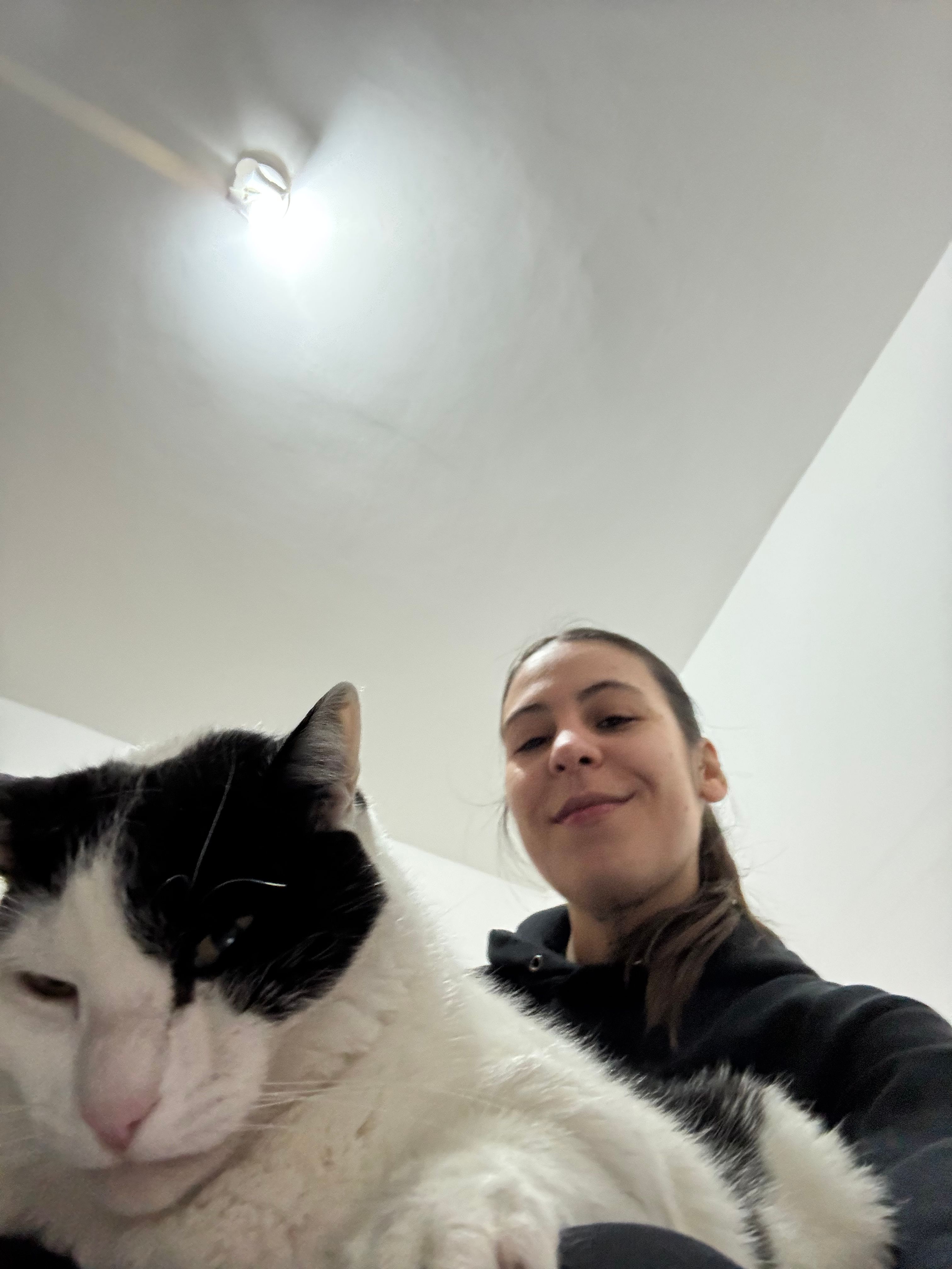 image-7